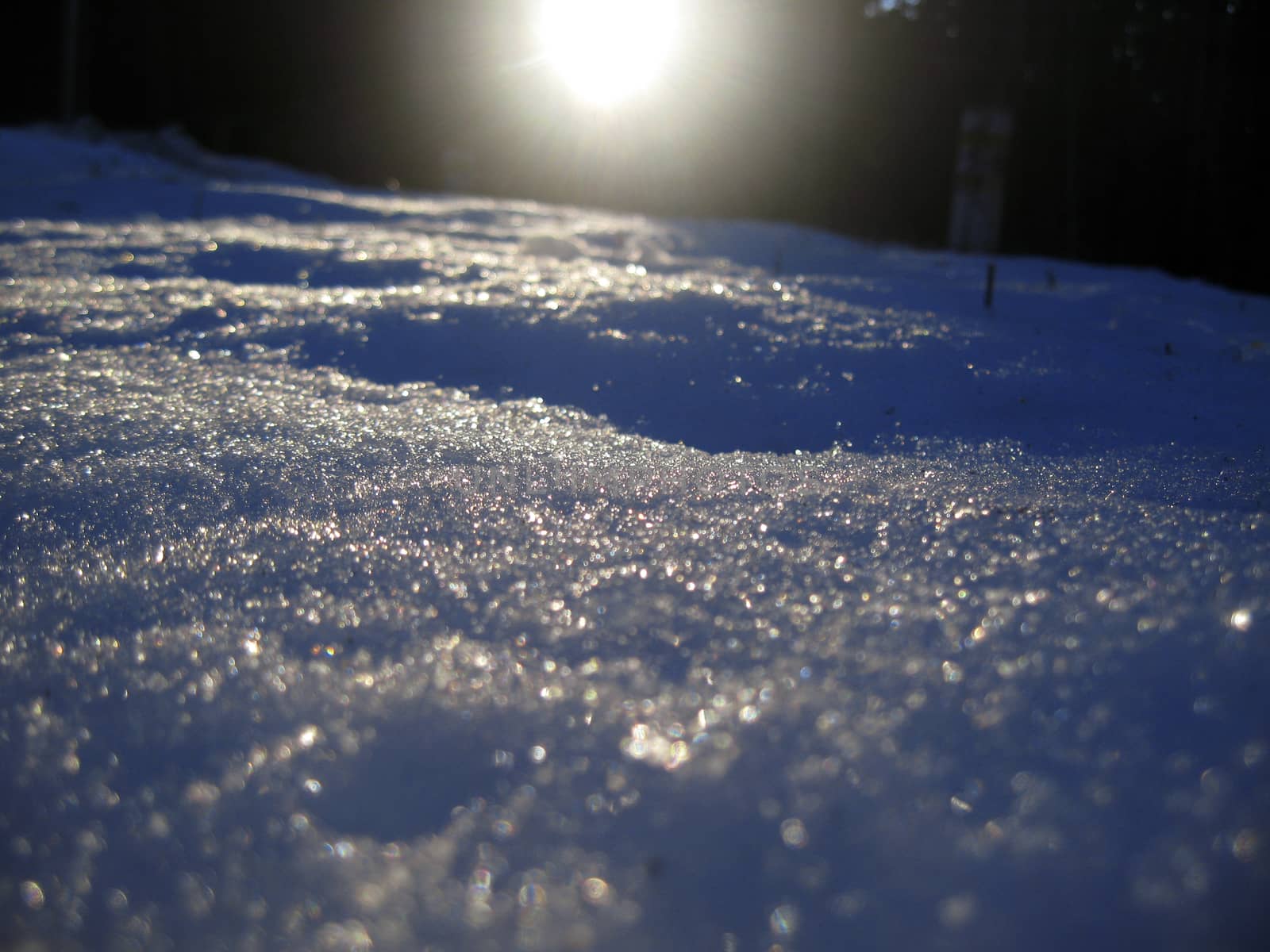 Sunrise in the winter forest by early morning