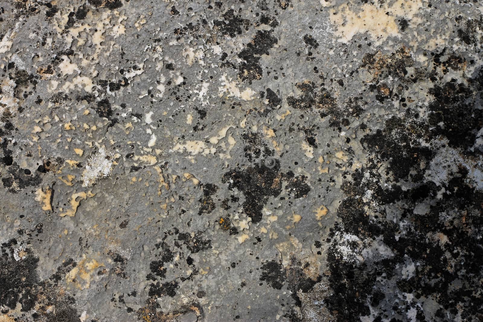 Natural background with a stone and the moss