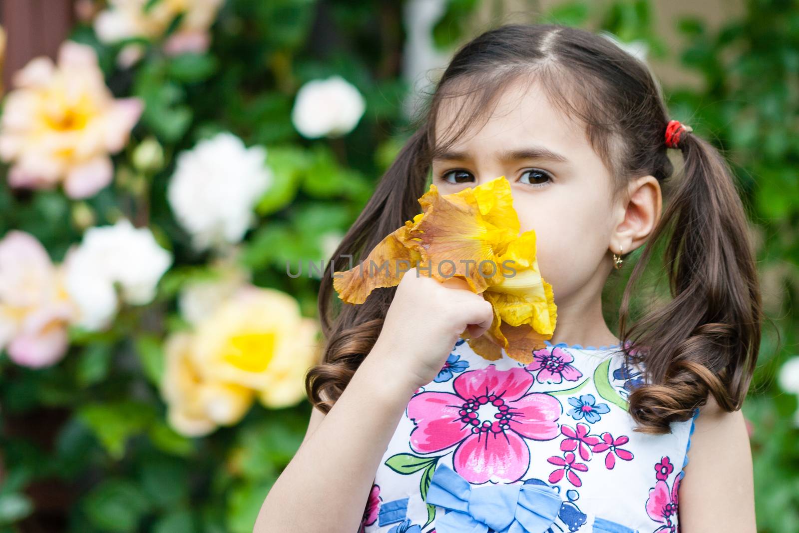 young girl smelling yellow flower outdoors