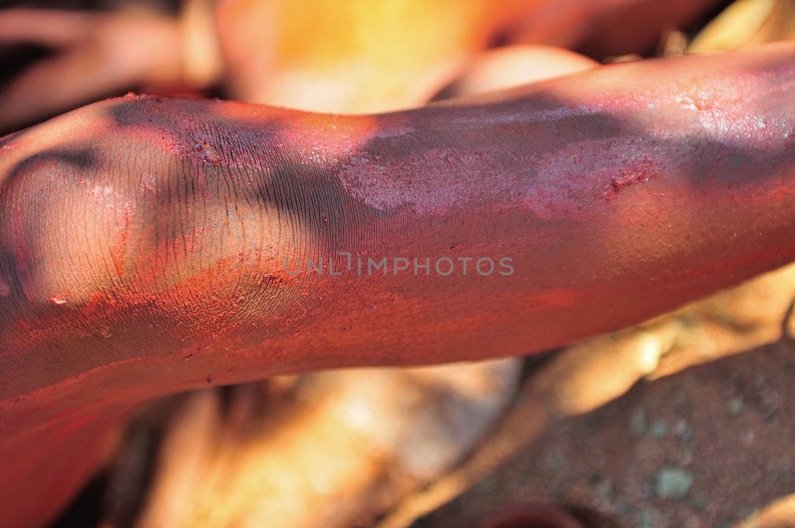 Himba woman applying red ochre mixed with with petroleum jelly to body. Traditionally it was mixed with animal fat.
