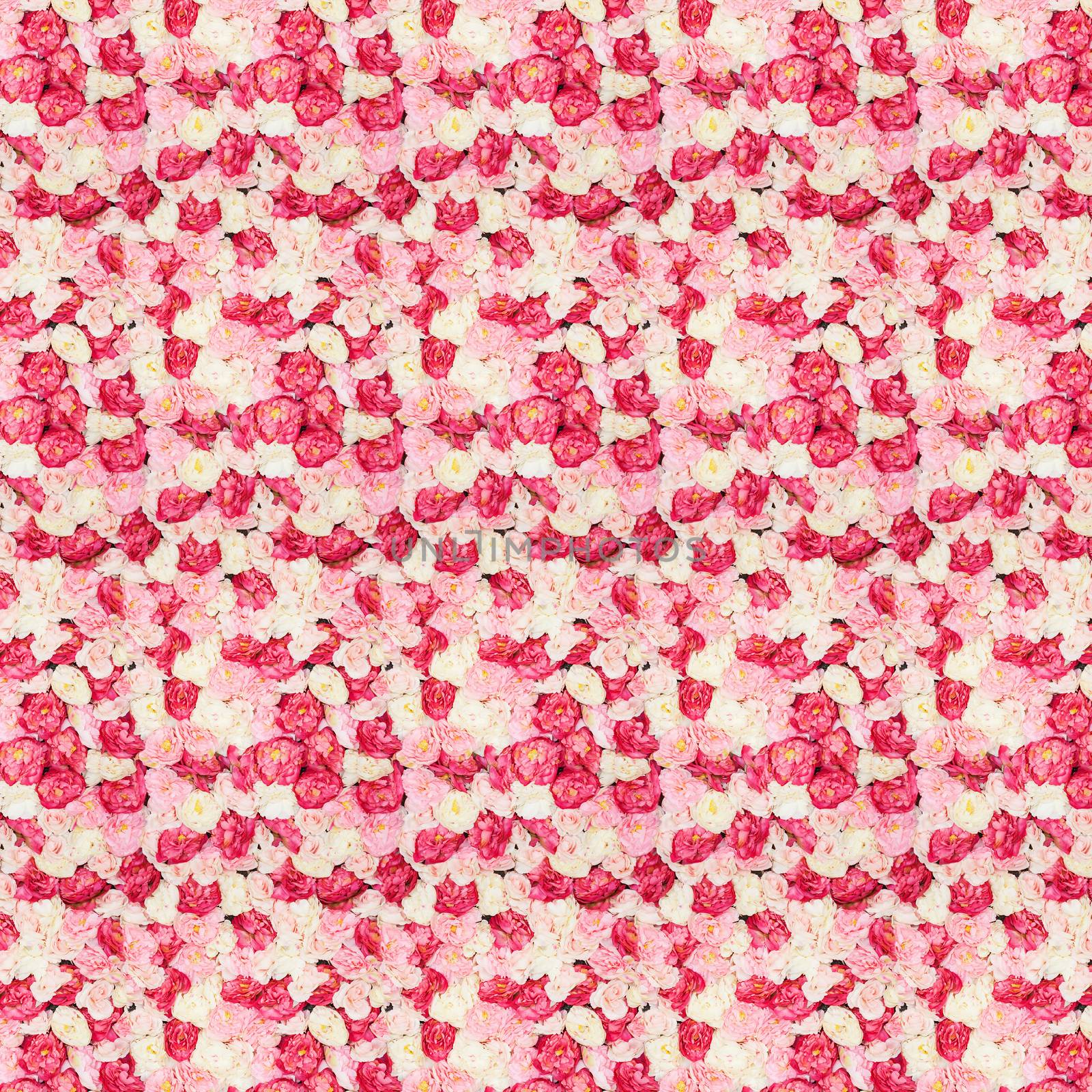 pattern with flowers by dolgachov