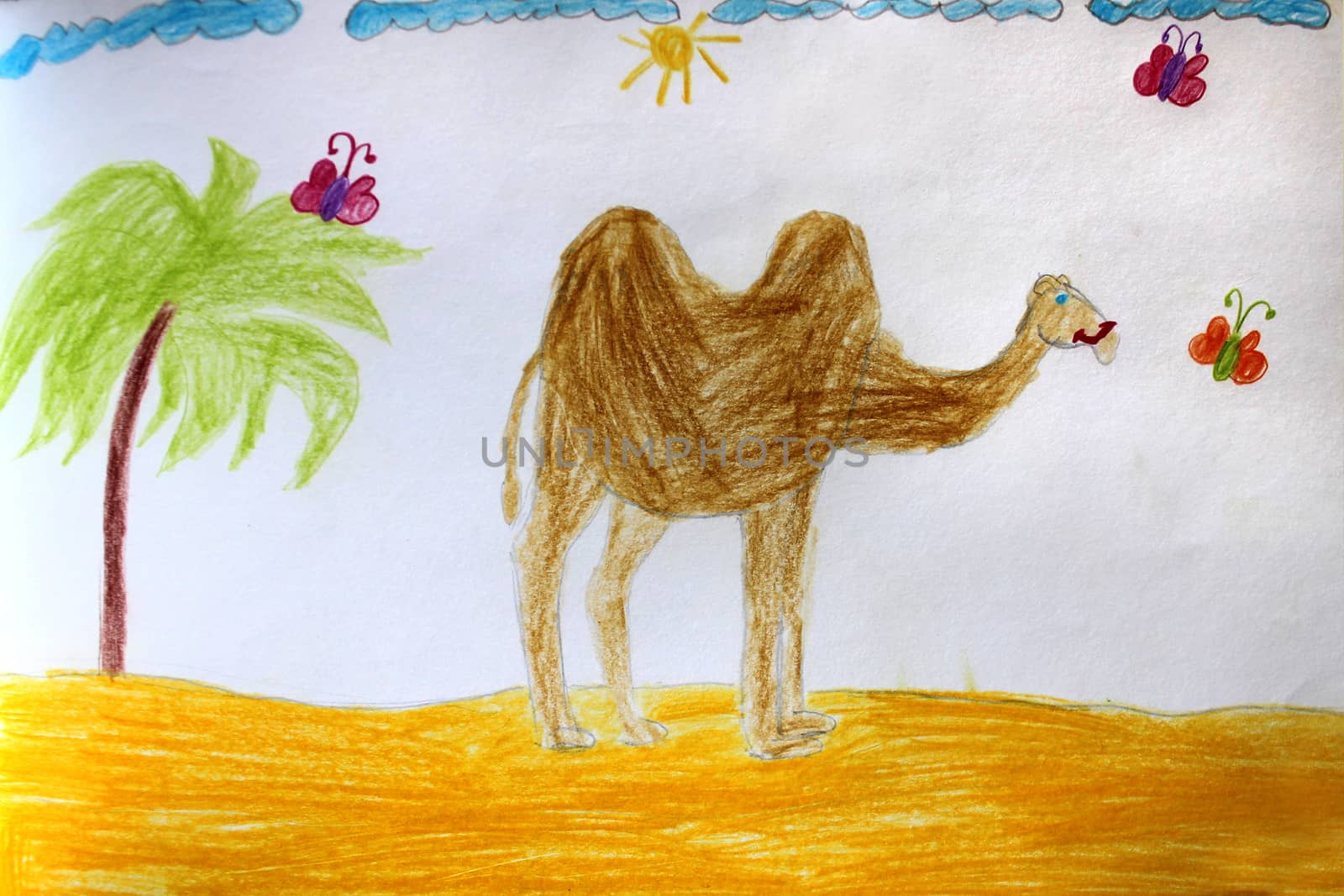 Children's drawing of camel standing in the desert