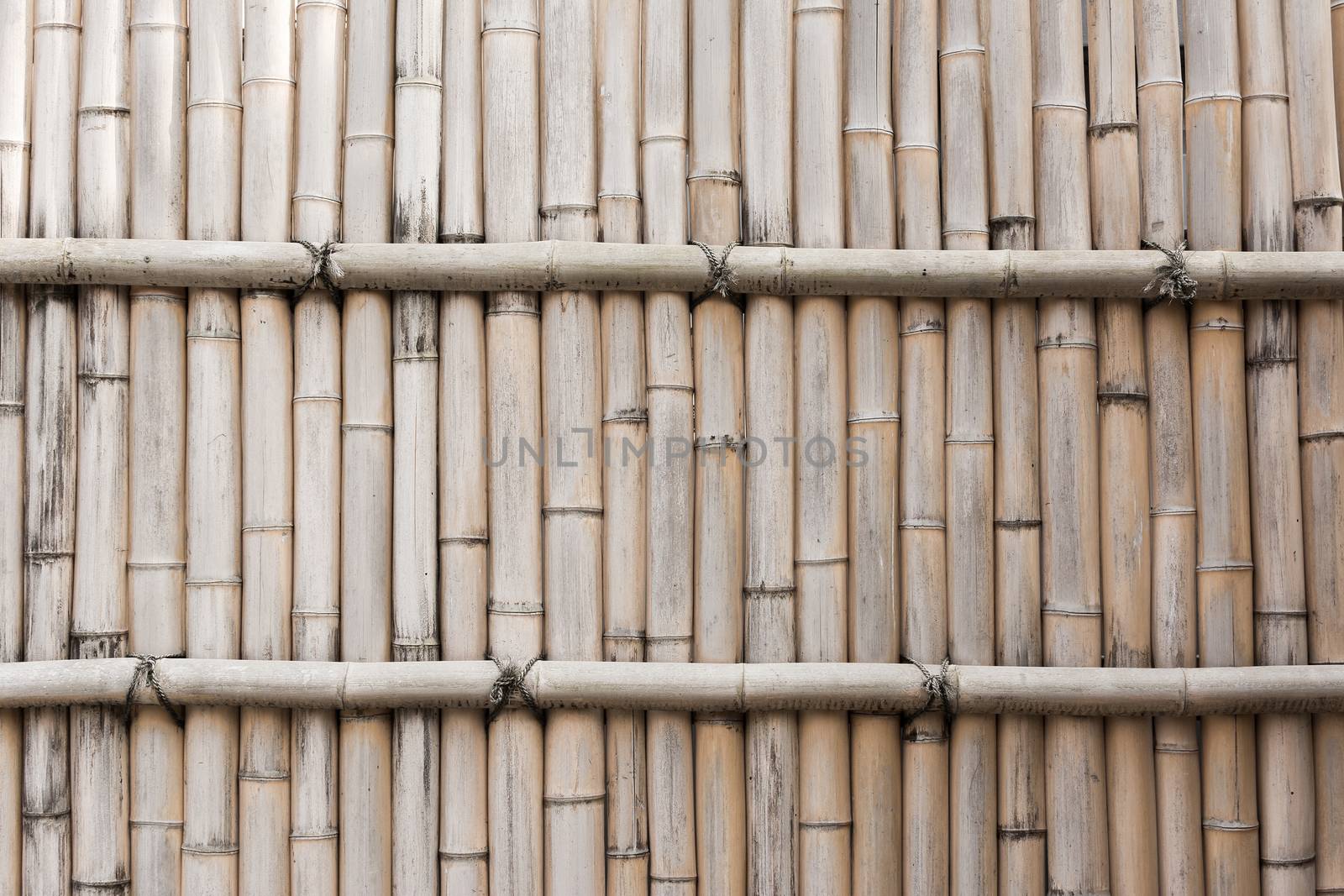 Background texture of bamboo with good detail.