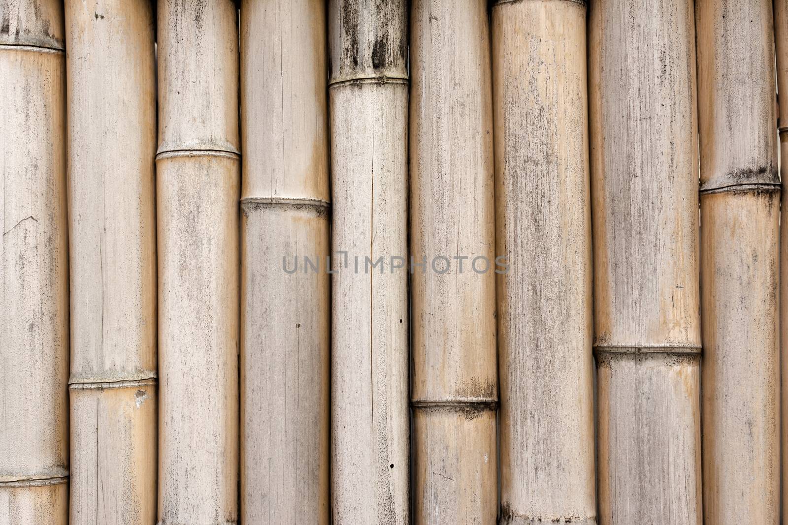 Background texture of bamboo with good detail.