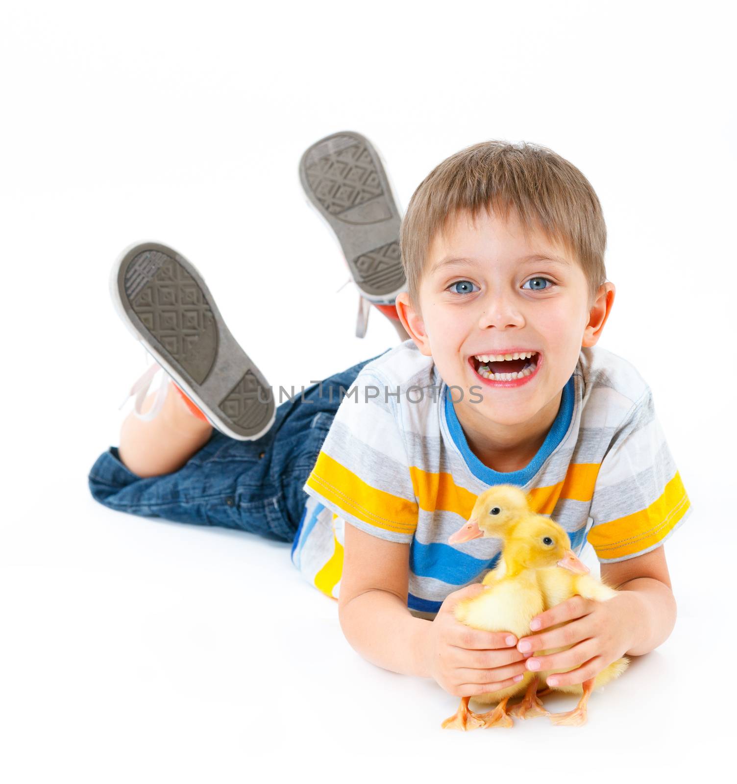 Happy little boy with cute ducklings isolated on white background