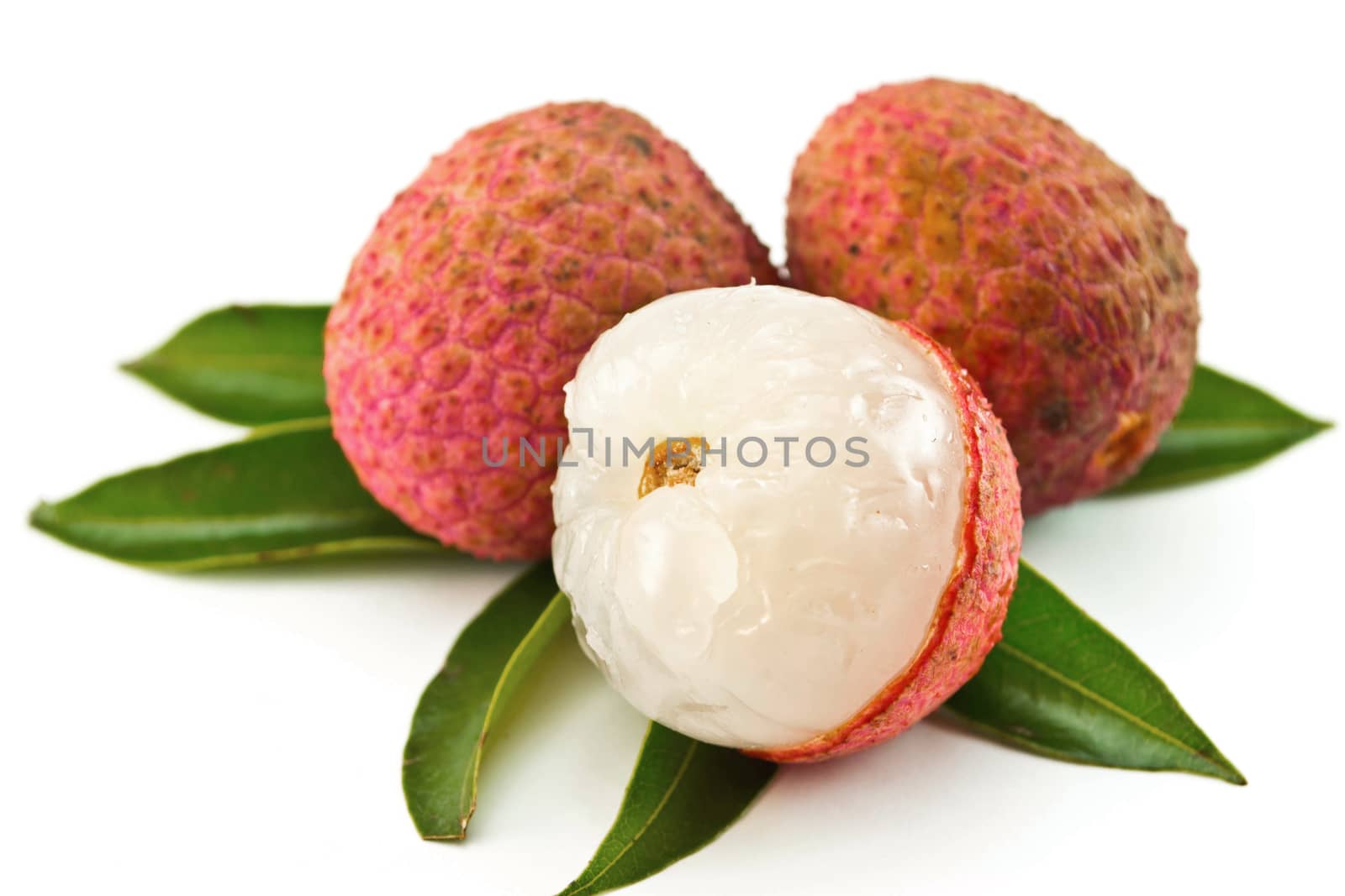 fresh lychees on white background