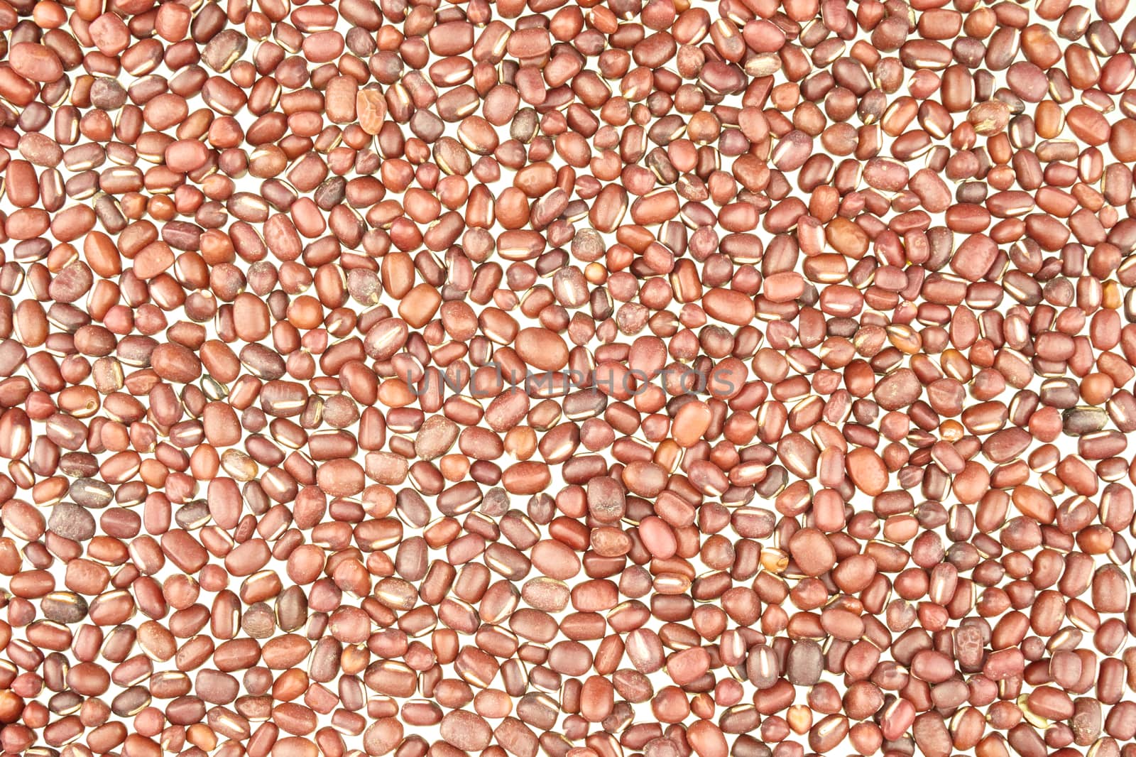 Red dry bean put as abstract background texture on white background.