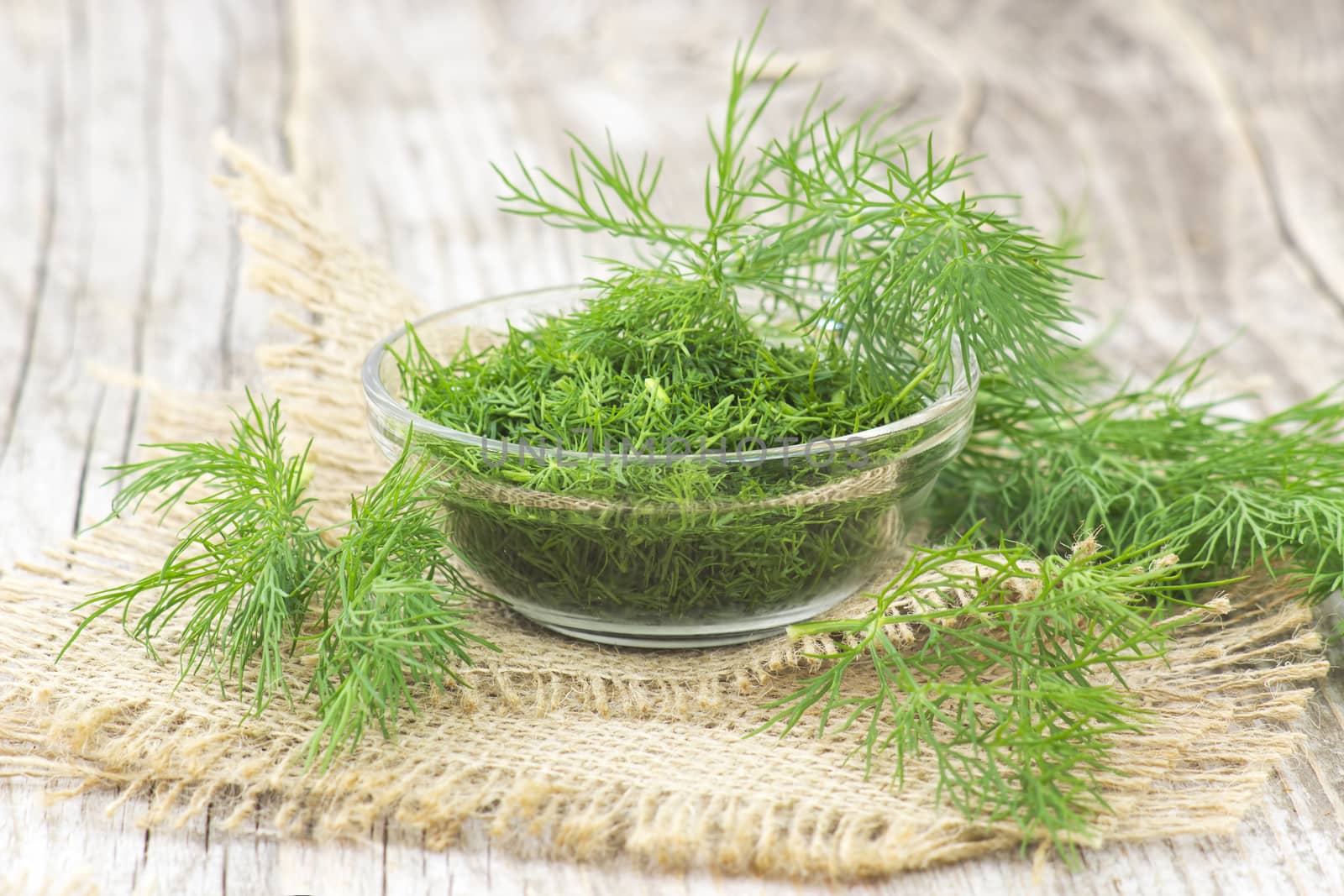 fresh dill