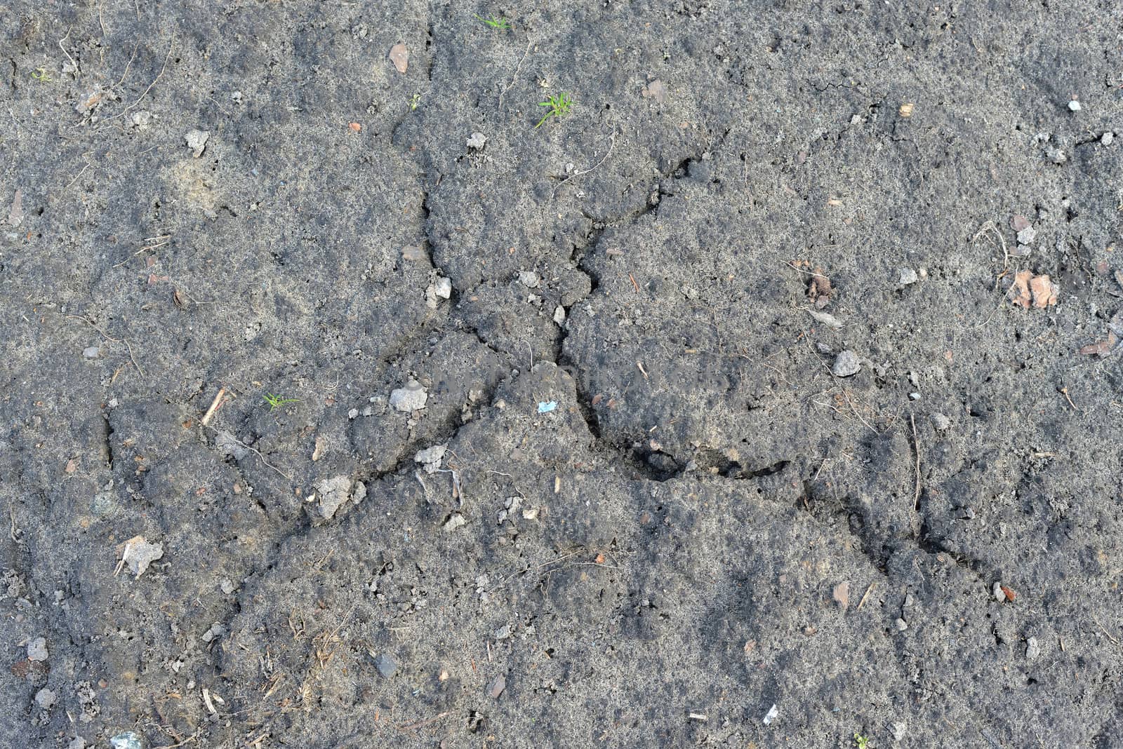 Chapped cultivated soil surface. The natural background