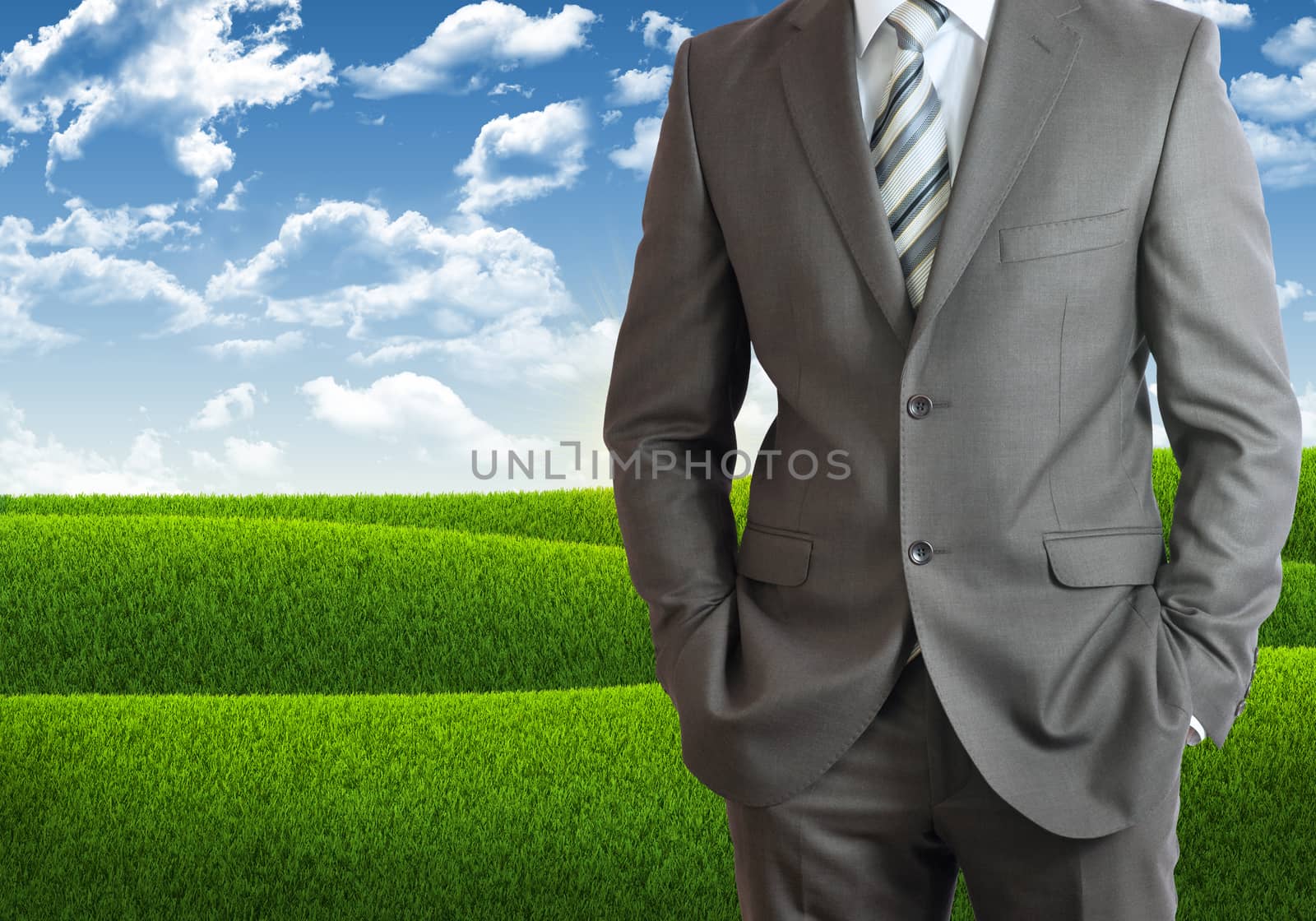 Businessman standing with hands in pockets. Blue sky and green grass as backdrop