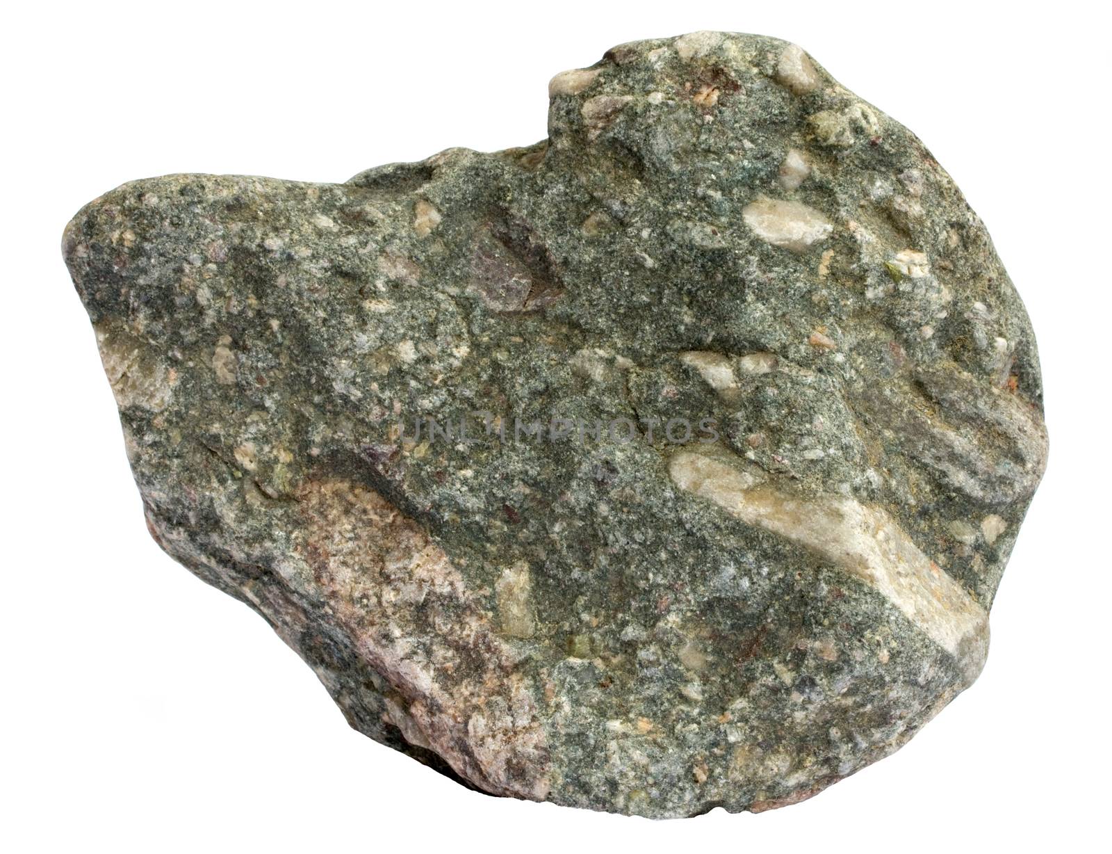Single piece of sedimentary oligomict paraconglomerate of glacial alluvial origin. Clasts are in the pebble to cobble size range.