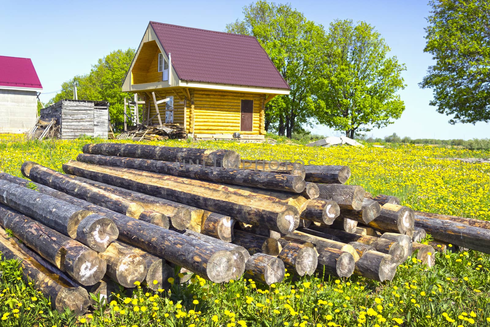 Wooden house in the meadow with dandelions. Completion of construction