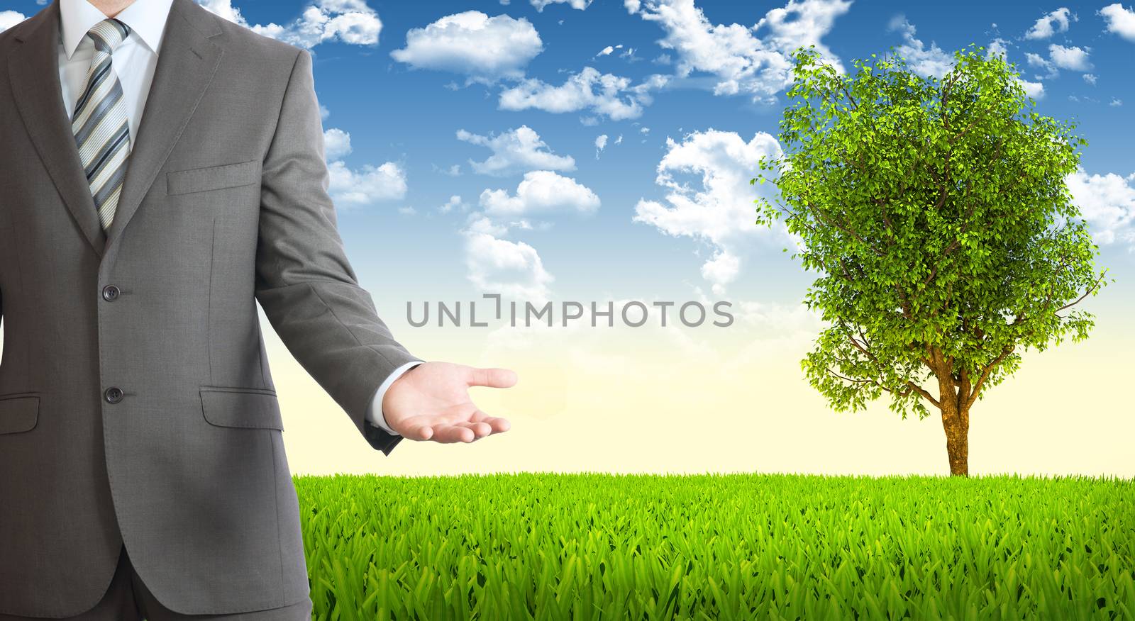 Businessman in suit holds her hand front of him. Tree and green landscape as backdrop