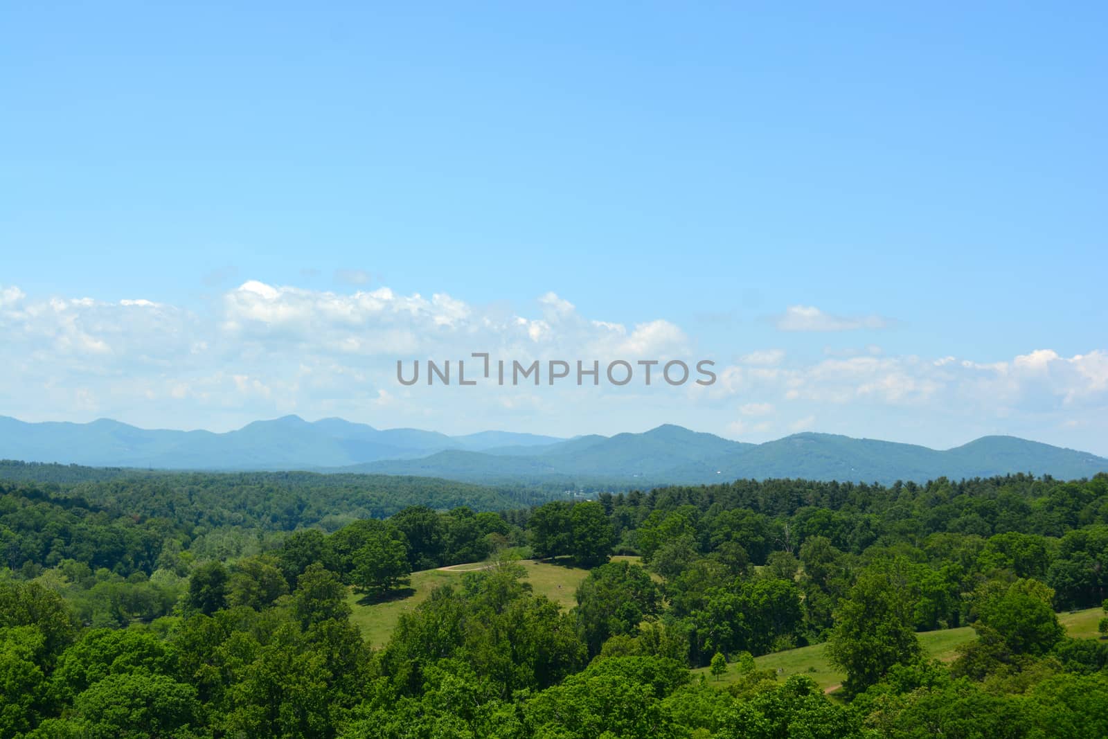 Asheville North Carolina - In The Mountains