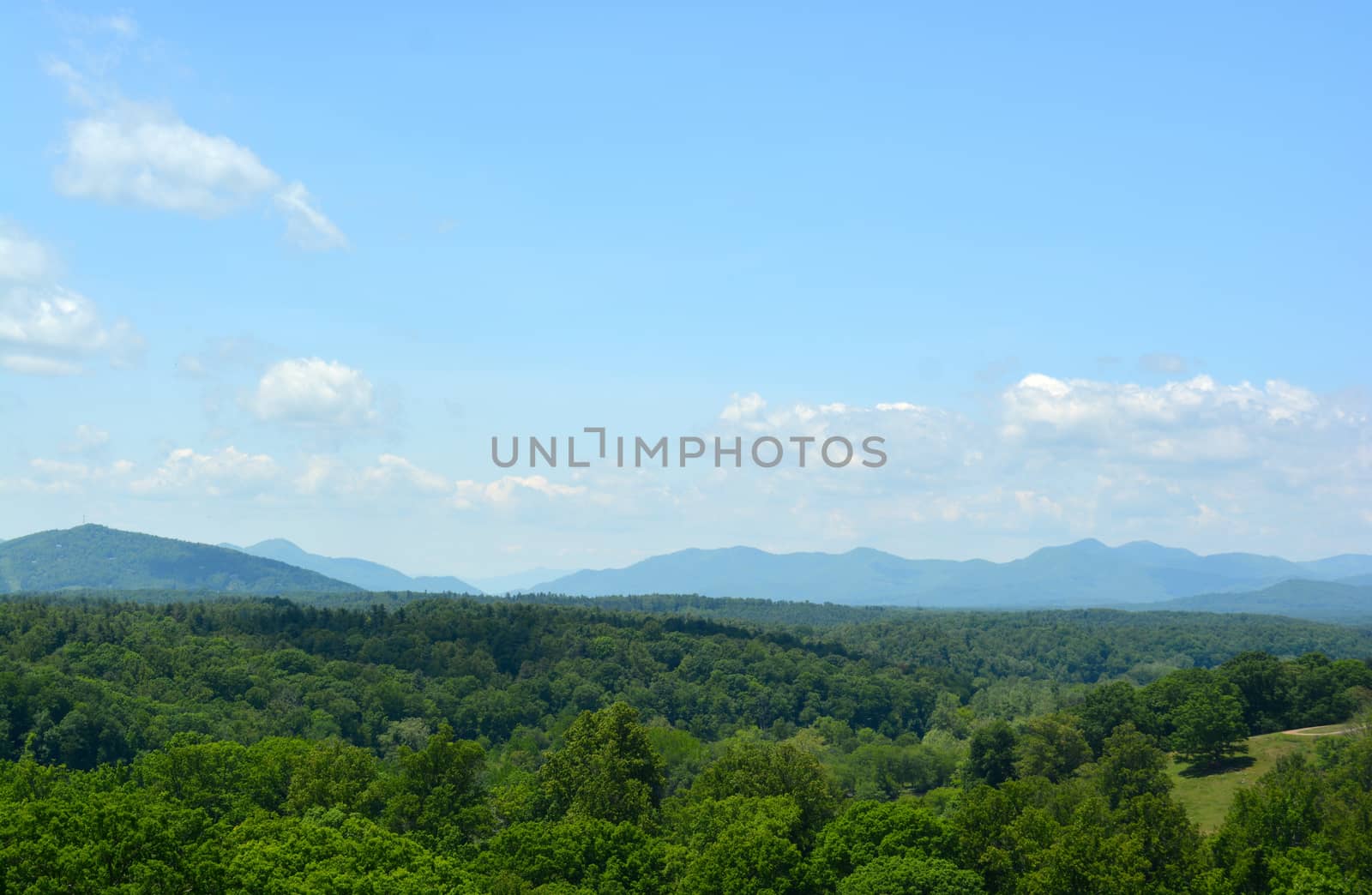 Asheville North Carolina - In The Mountains