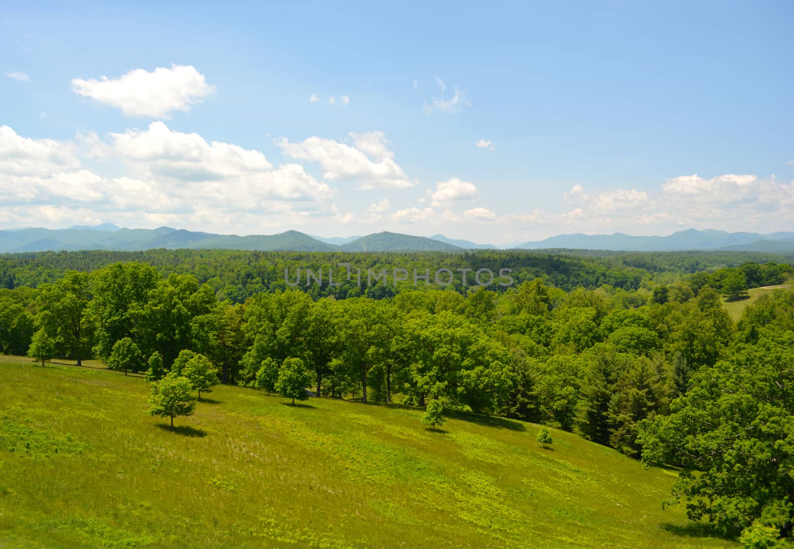 Asheville North Carolina - In The Mountains