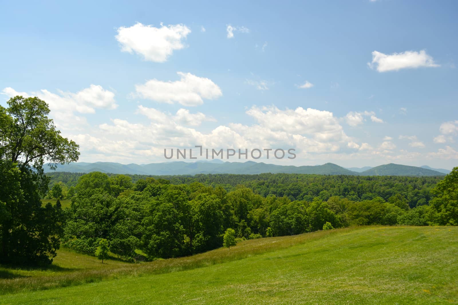 Asheville North Carolina - In The Mountains