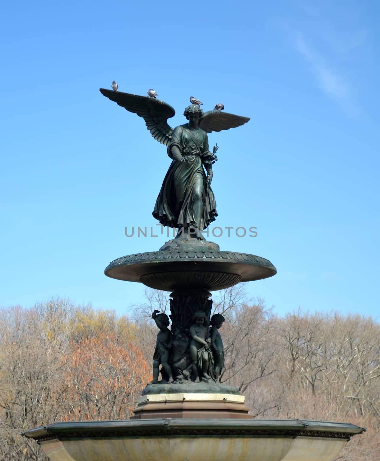 Central Park in New York City - 56 by RefocusPhoto