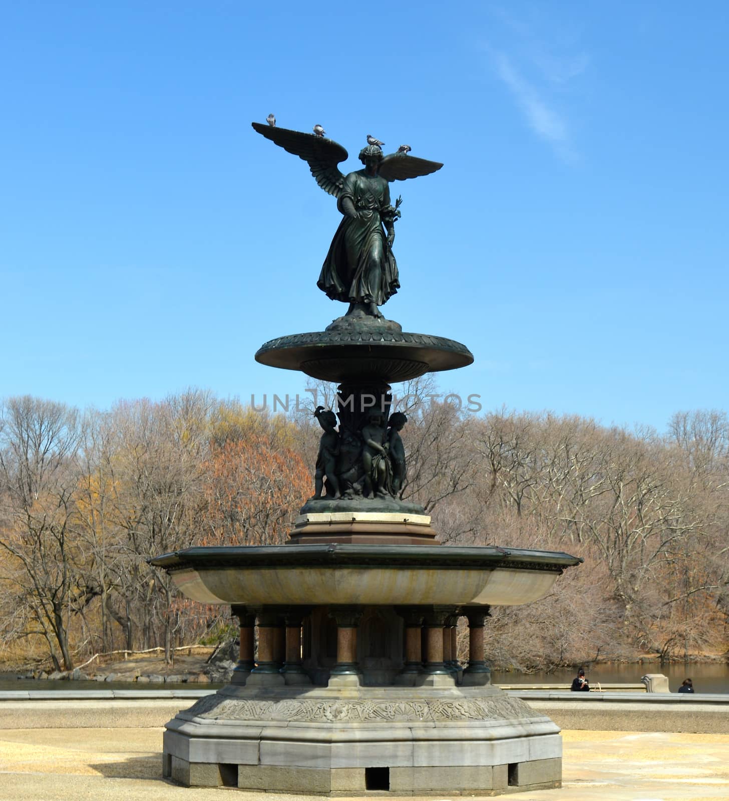 Central Park in New York City - 59 by RefocusPhoto