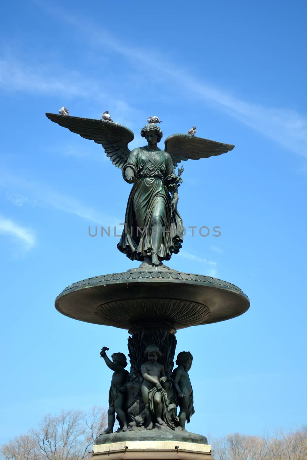 Central Park in New York City - 41 by RefocusPhoto