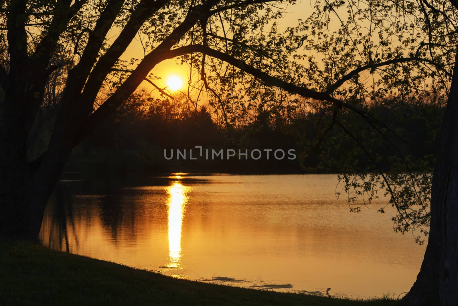 Beautiful orange sun sets on a tranquil pond surrounded by trees. 
