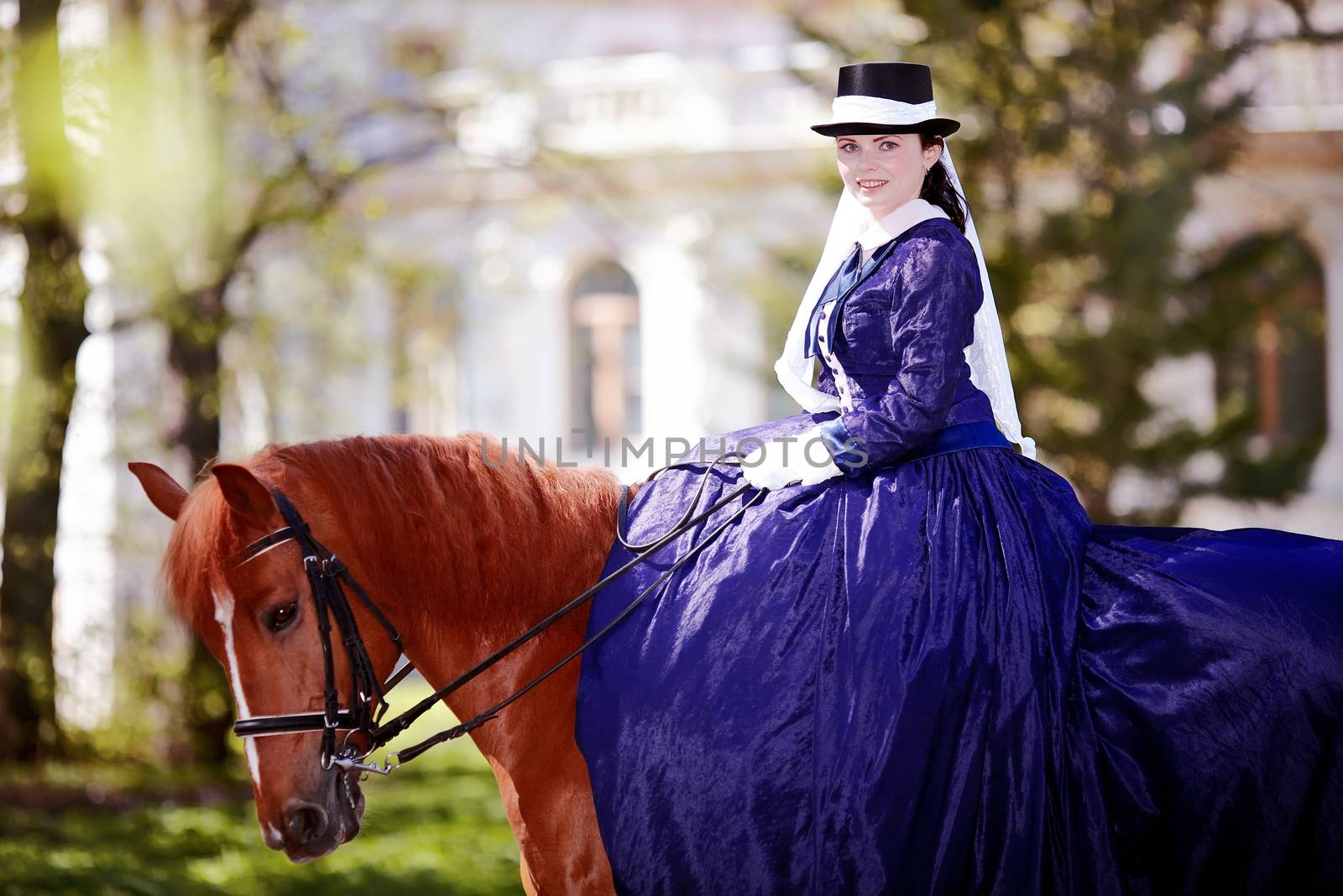 Lady on a  horse. The lady on riding walk. Portrait of the horsewoman. The woman astride a horse. The aristocrat on riding walk.