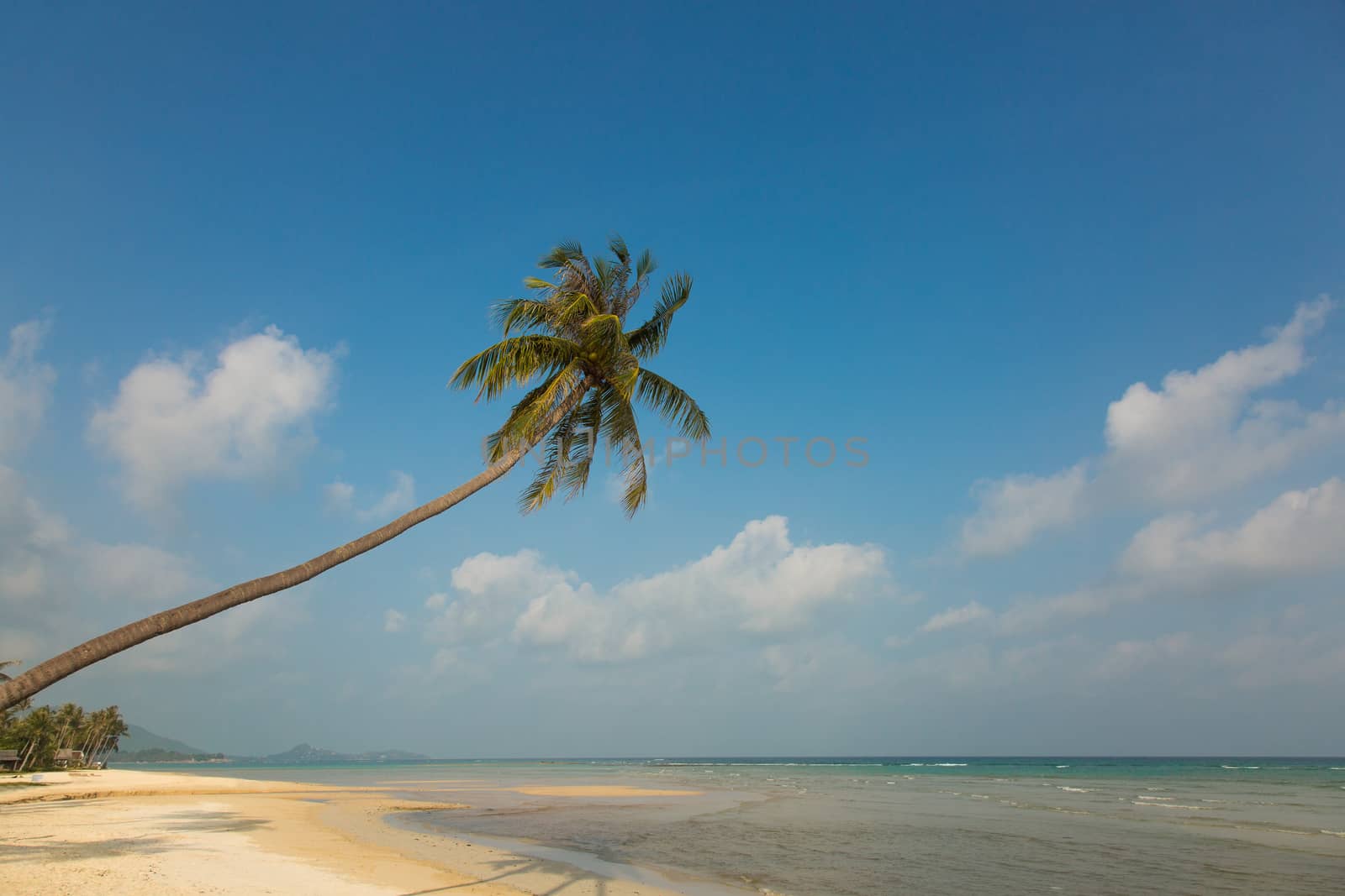 Beautiful tropical beach with palm trees, turquoise water and white sand 