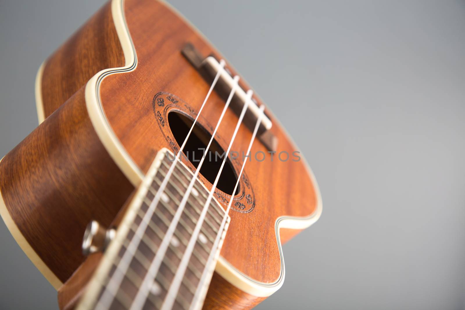 Close-up shot of ukulele guitar, studio shot on grey background, selective focus  