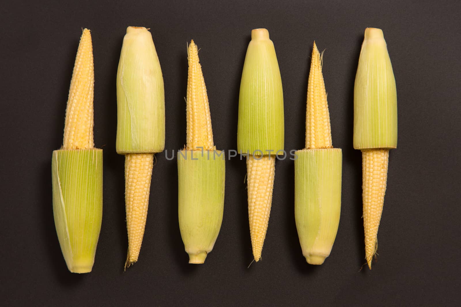 Studio shot of baby corn on black background 