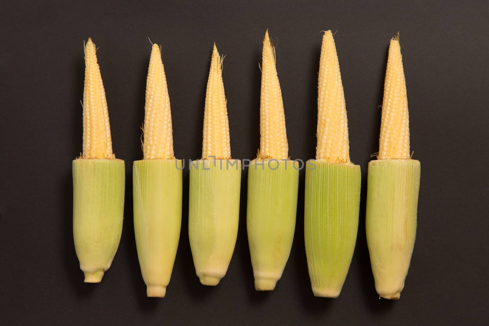 Row of fresh baby corn on gray background 