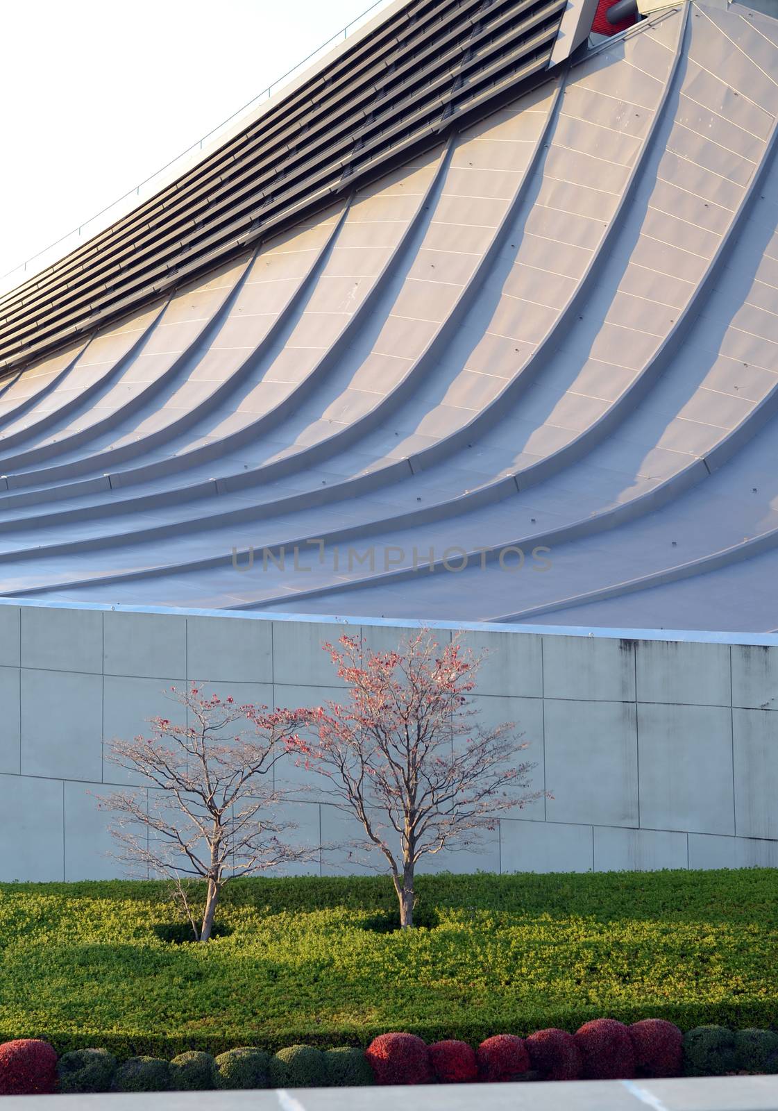 Free Form Roof of Yoyogi National Gymnasium, Tokyo, Japan by siraanamwong