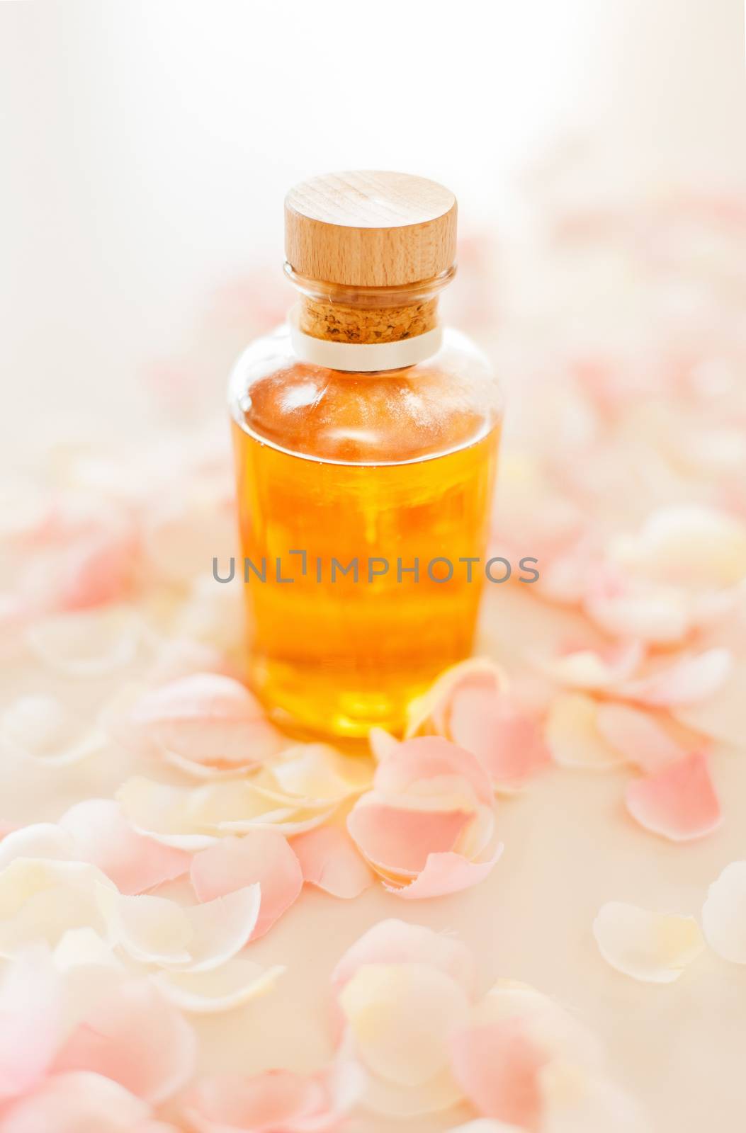 spa, health and beauty concept - closeup of essential oil and rose petals