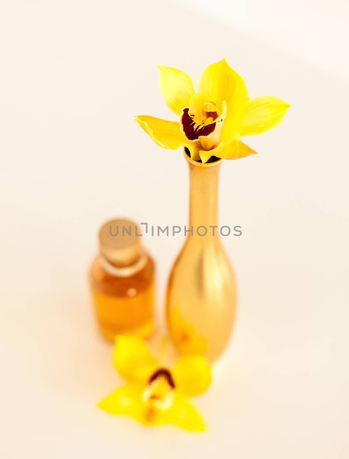 closeup of vase, flowers and oil by dolgachov