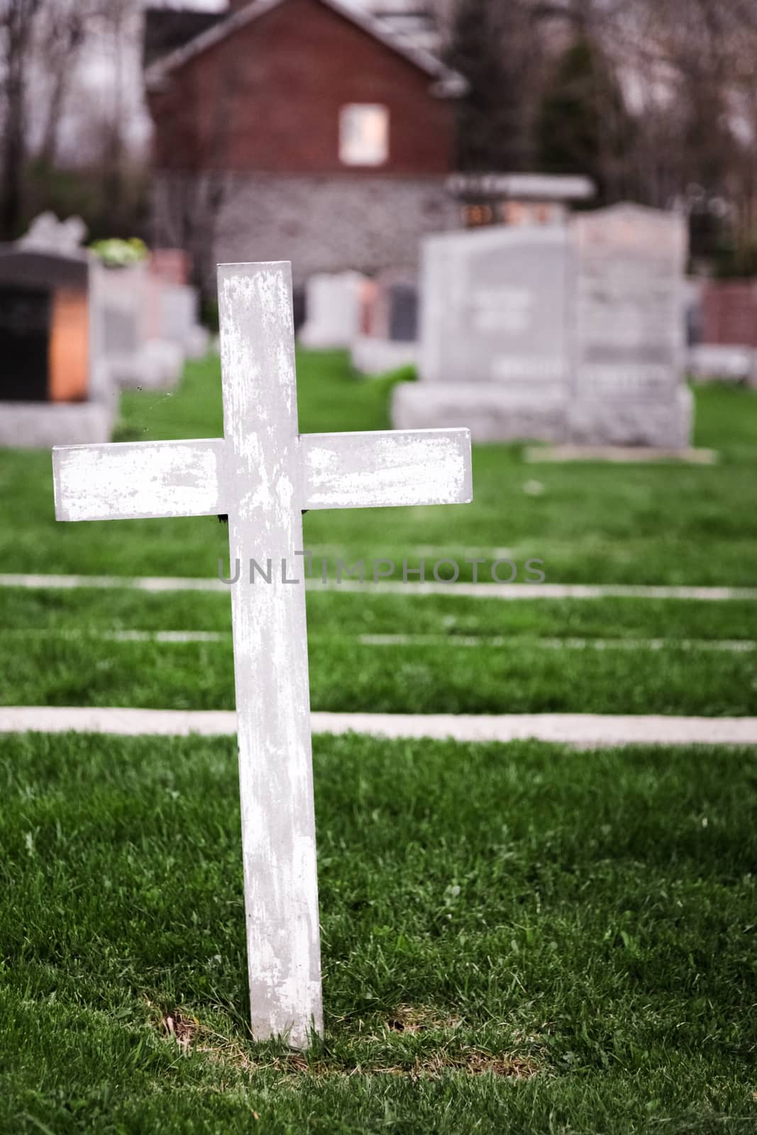 Lonely White Cross in a Old Cemetery