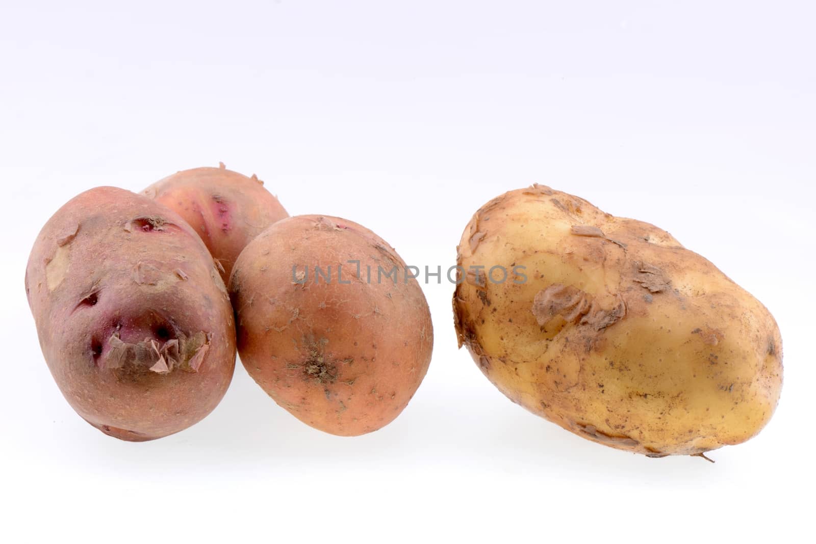 Potatoes isolated on white  by bbbar