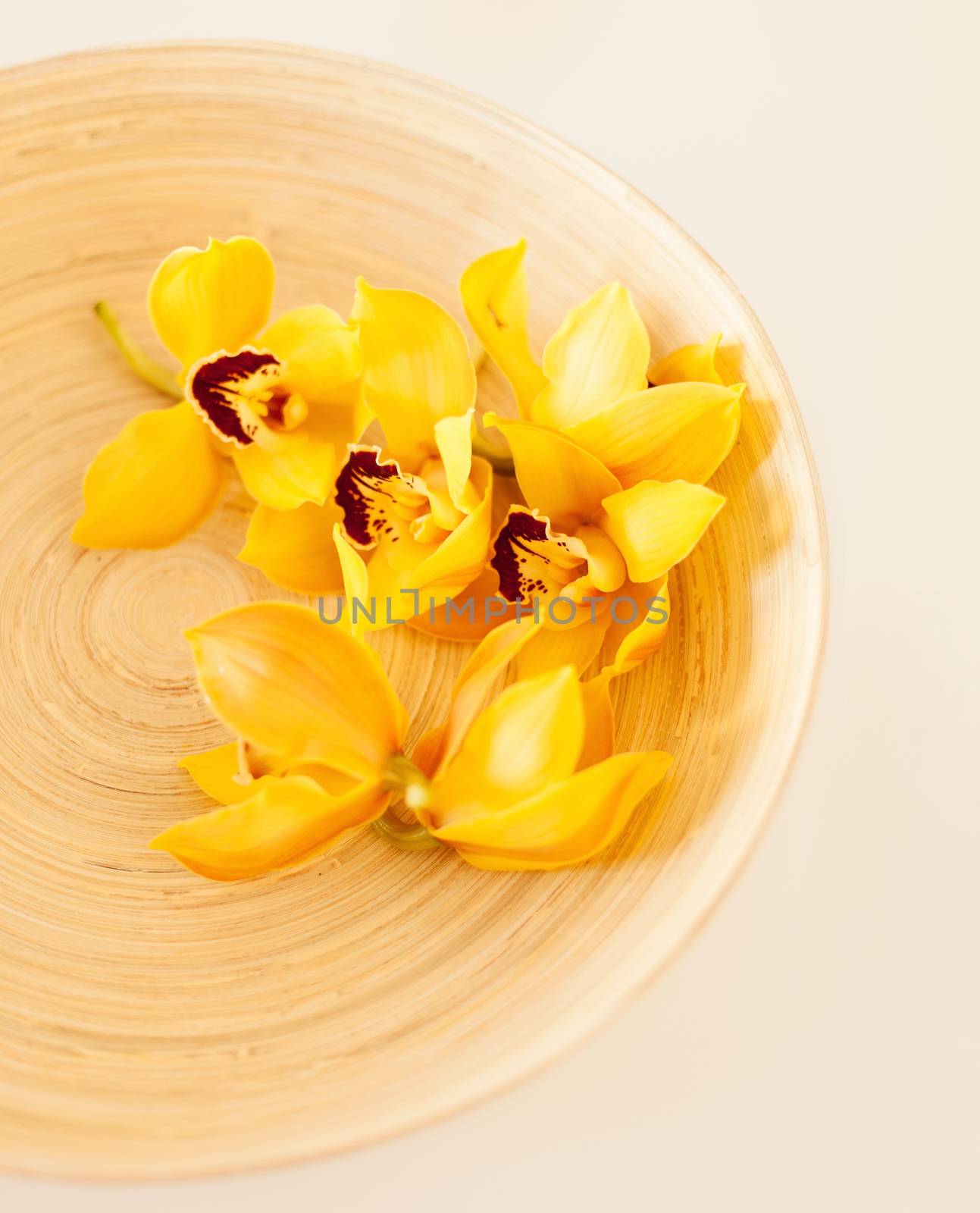 spa, health and beauty concept - closeup of wooden bowl with orchid flowers
