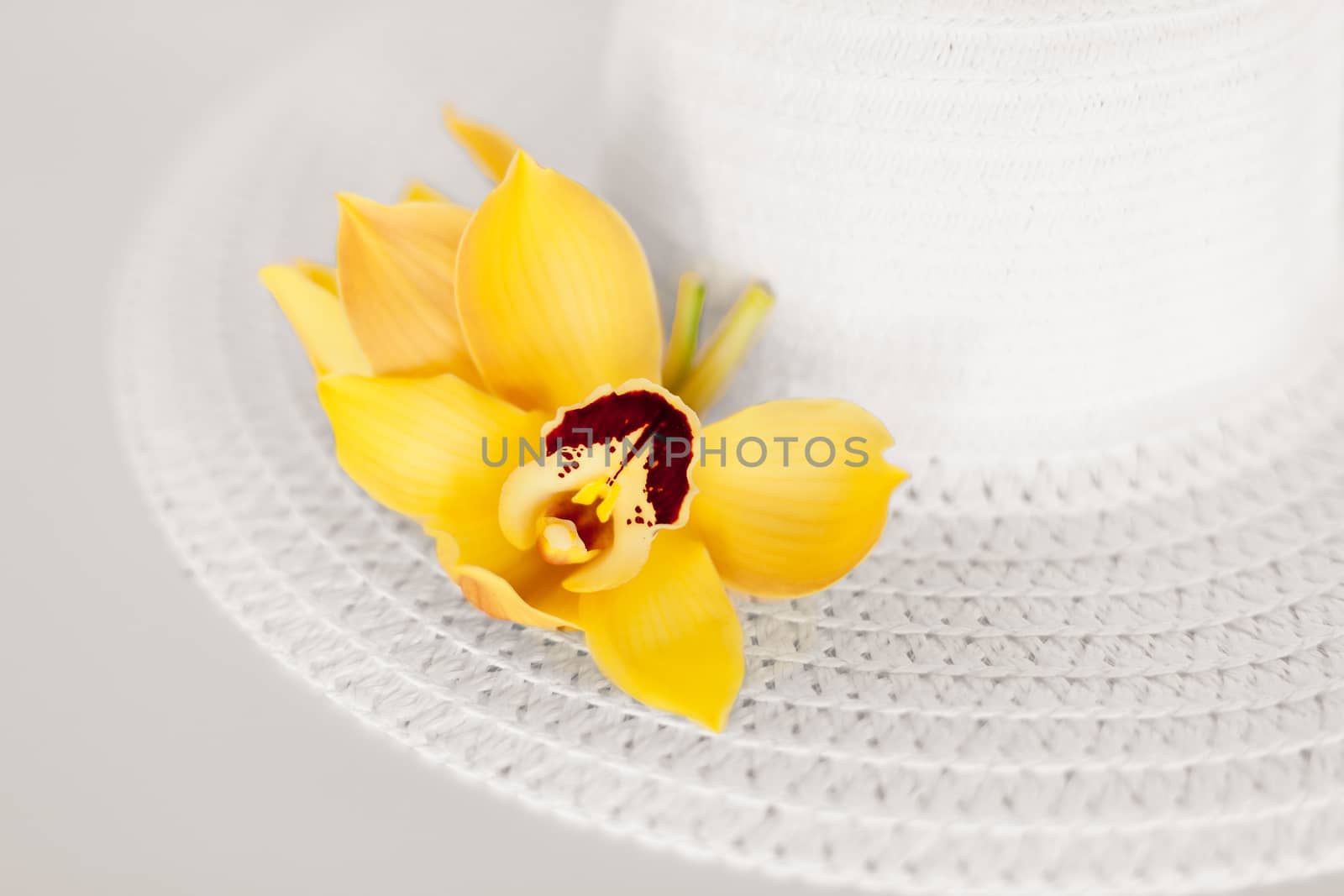 spa, health and beauty concept - closeup of vases, flowers and oil