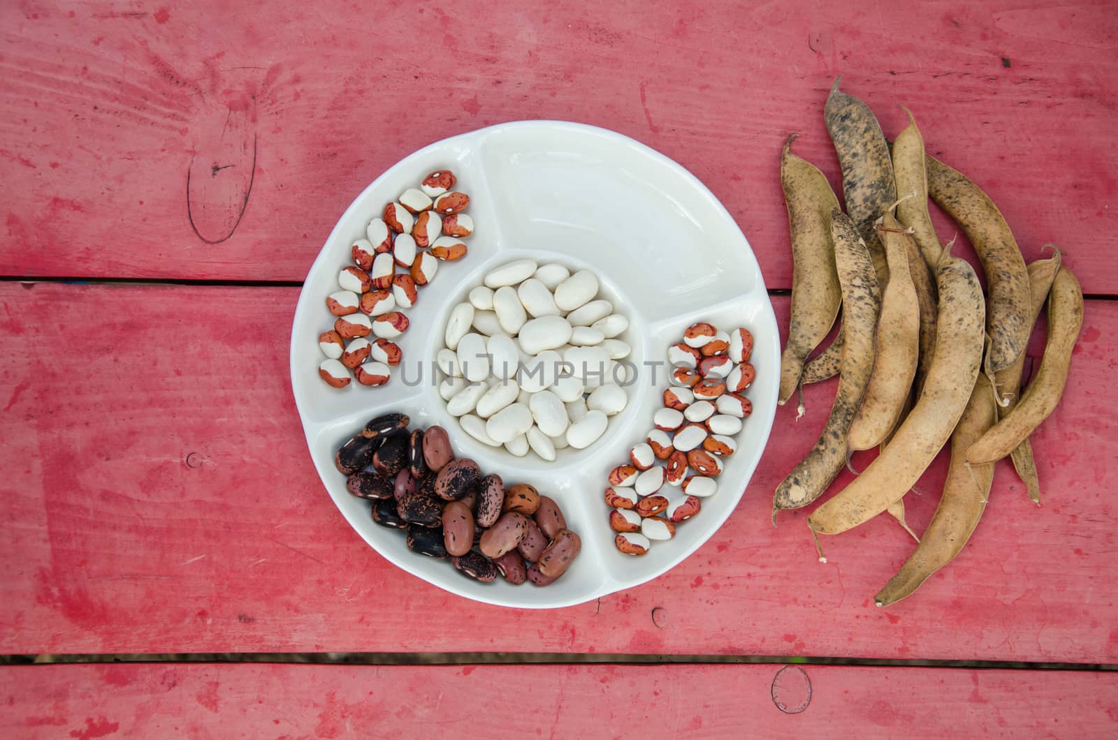 different types of beans in white plate and few full pods on the table outdoor