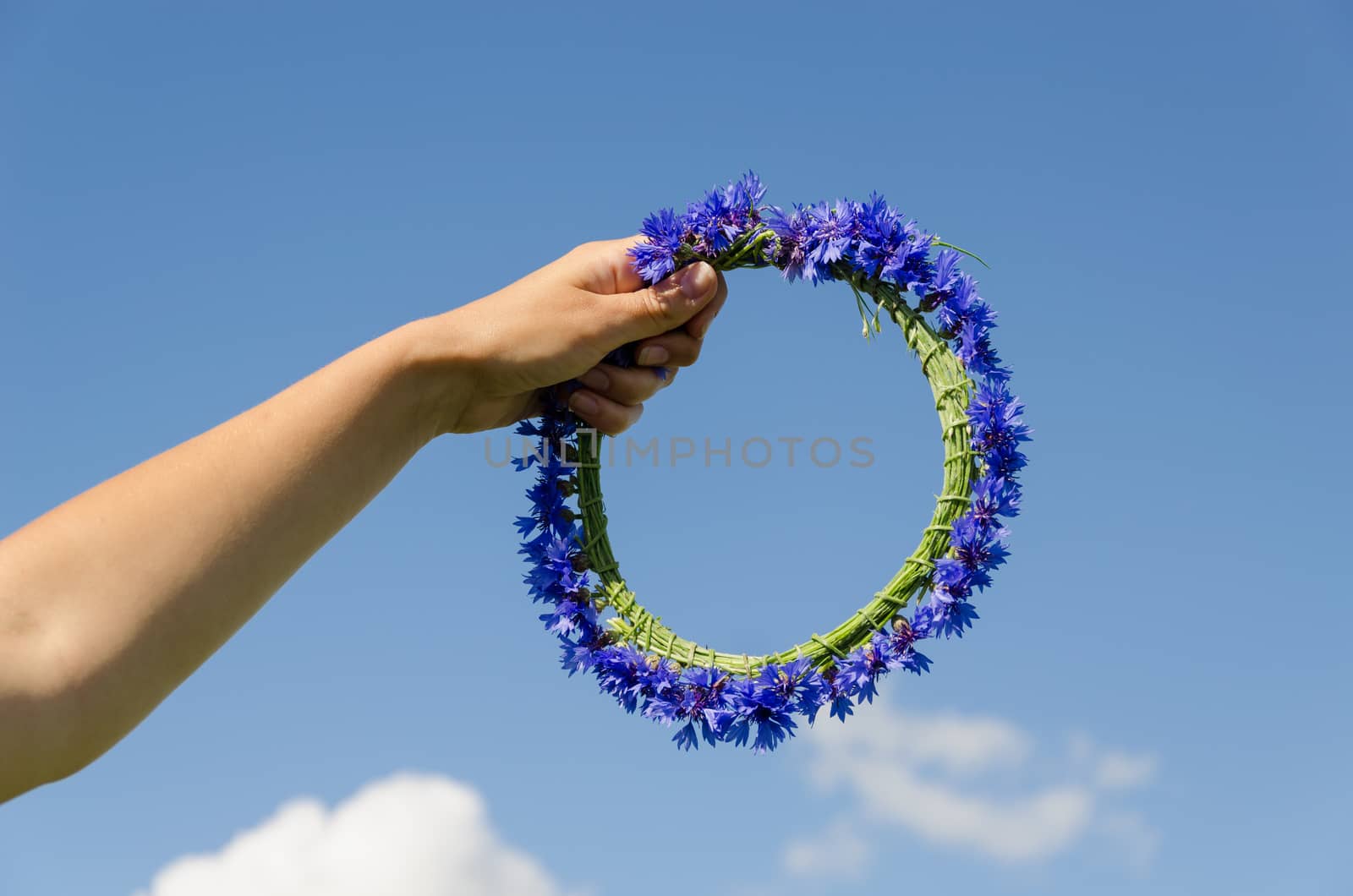 female hand hold summer nice cornflower crown in blue sky background