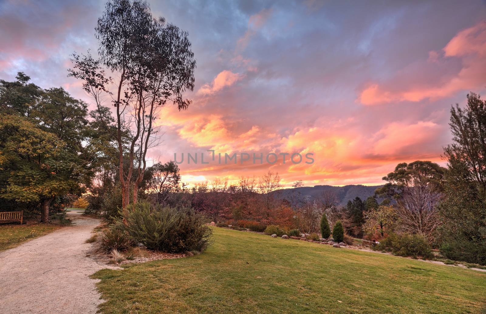 Fiery clouds an autumn sunset in the Blue Mountains NSW Australia