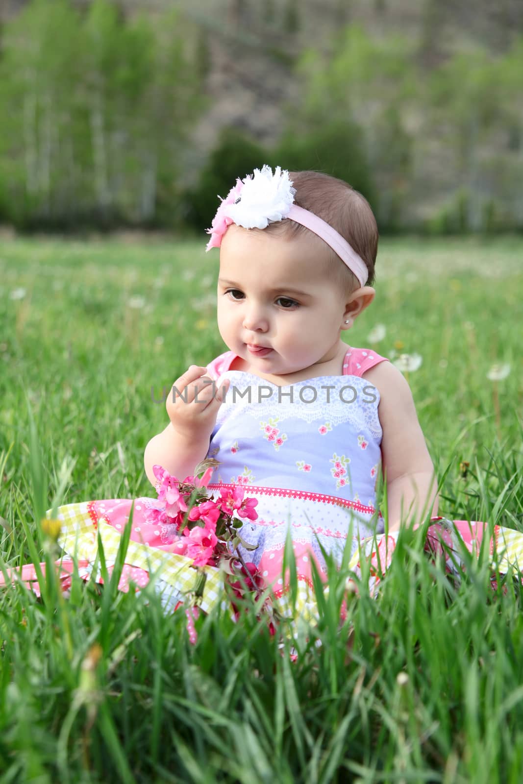 Beautiful brunette baby girl sitting in a field