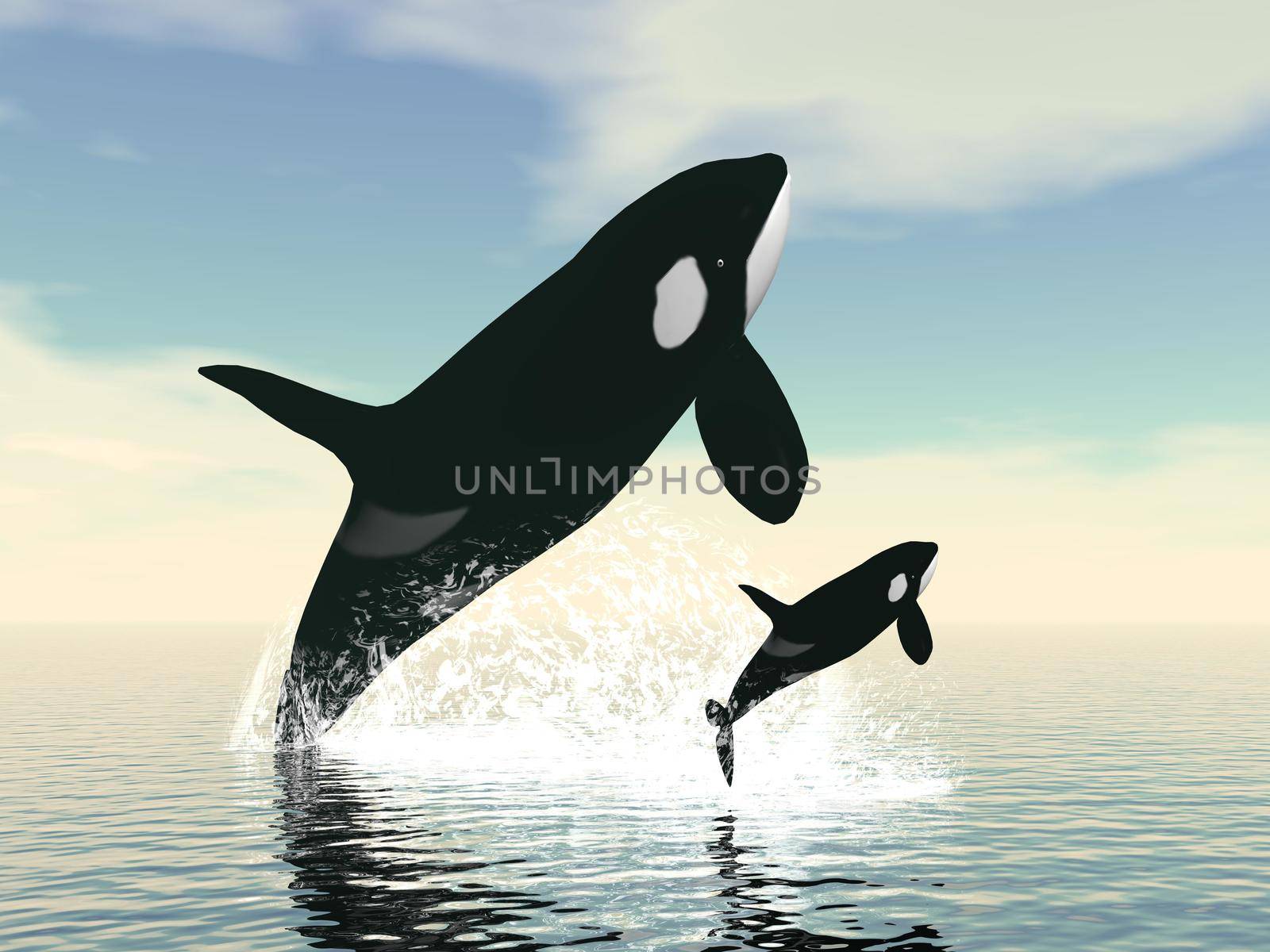 Killer whale mum and baby - 3D render by Elenaphotos21