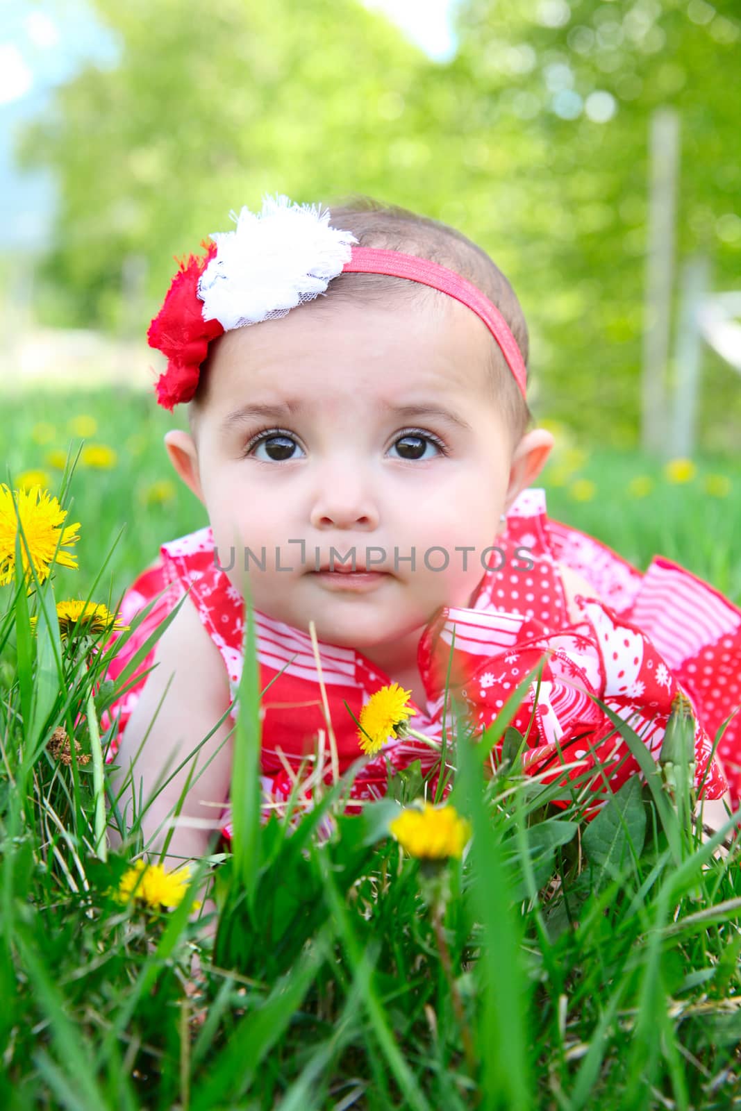 Flower baby by vanell