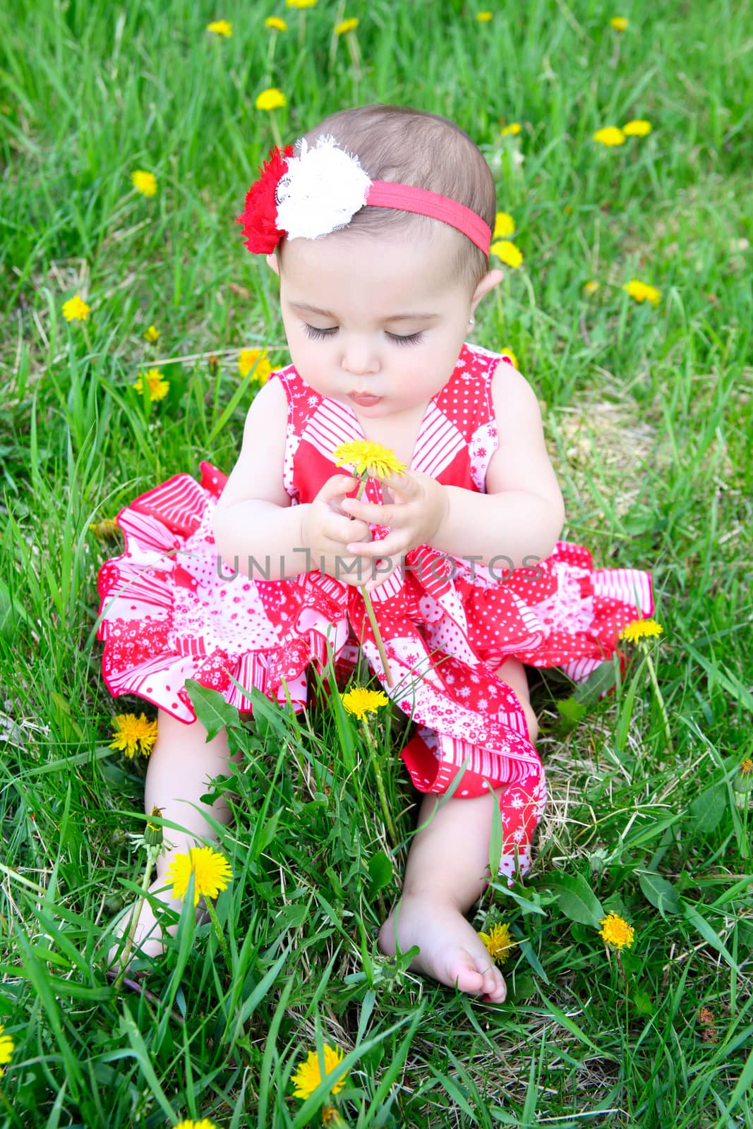 Brunette baby girl sitting in a field with dandelions