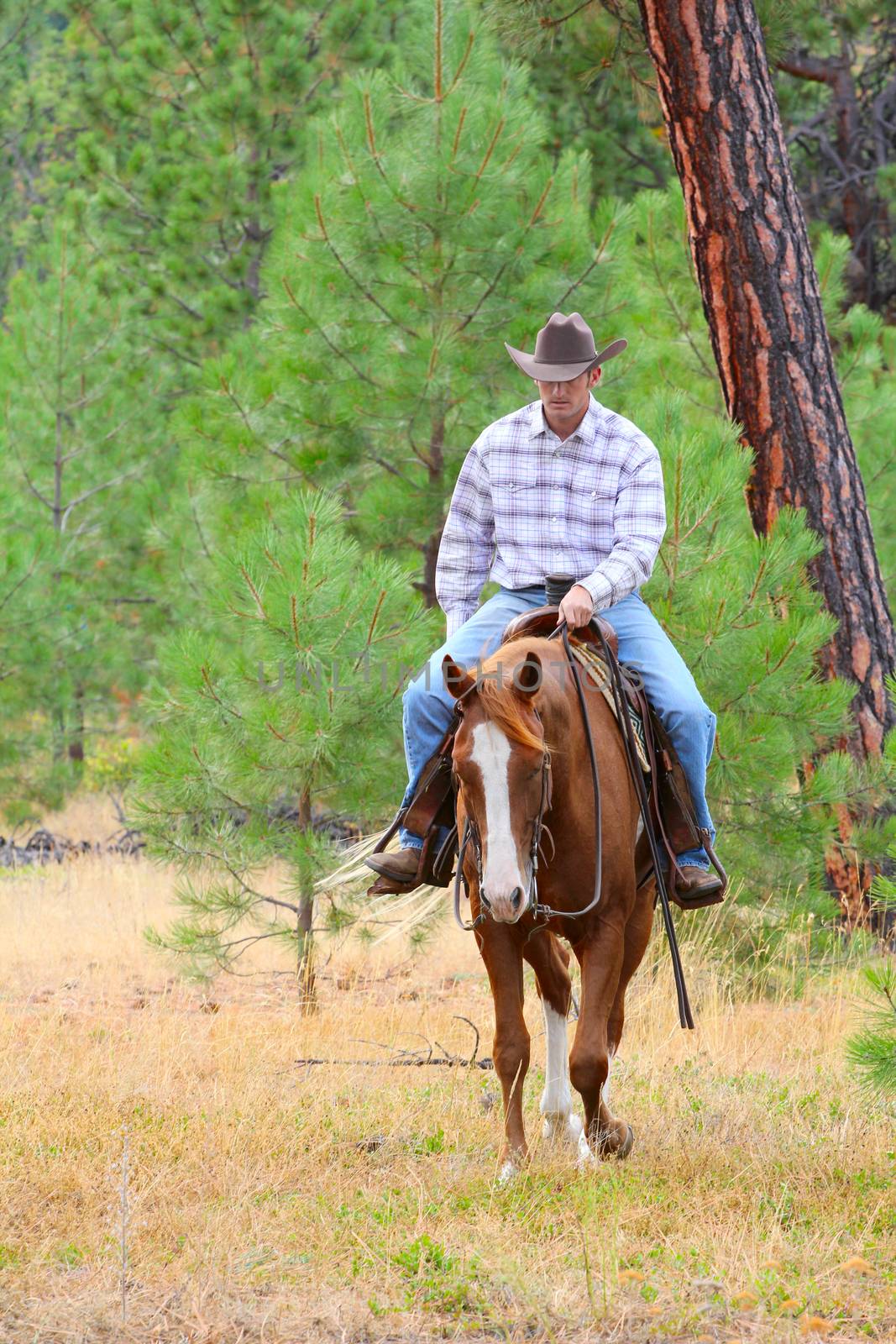 Young cowboy riding his horse in the field 