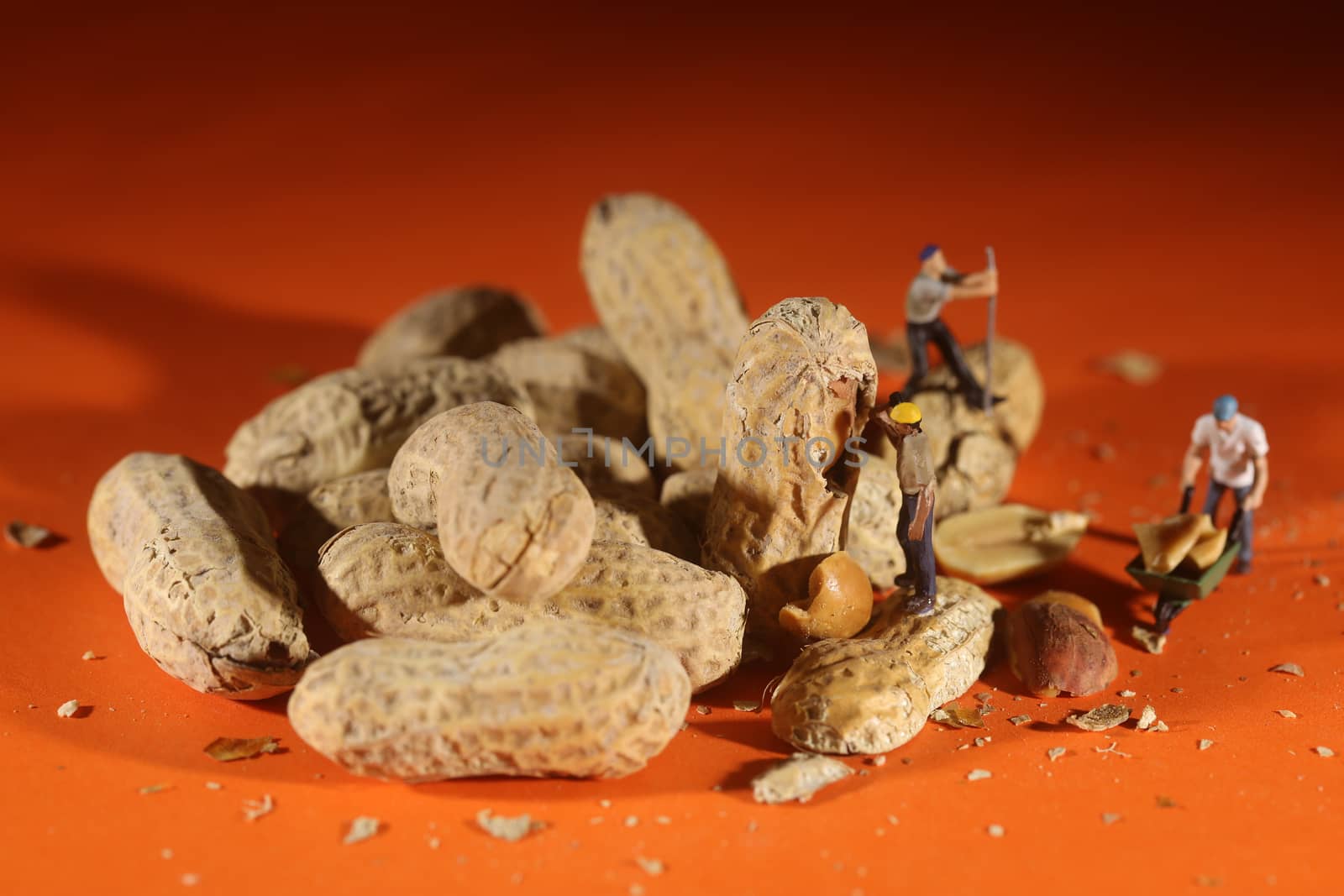 Miniature Fake People Working on Peanuts