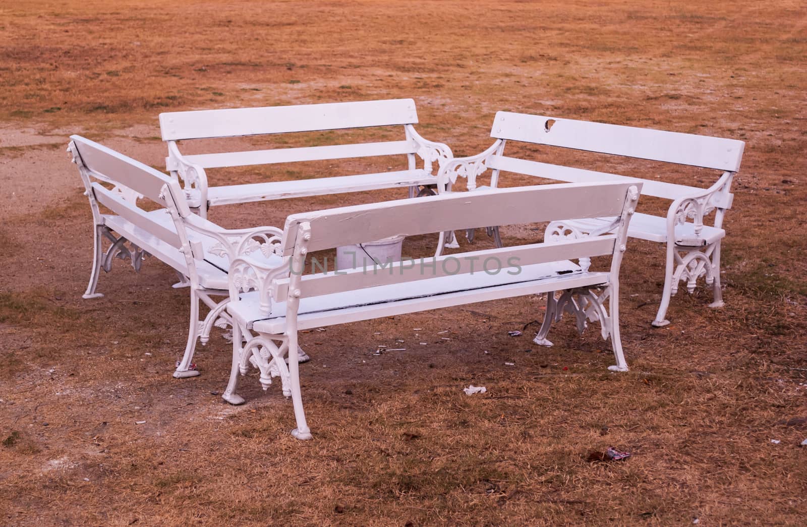 White Benches in Park
