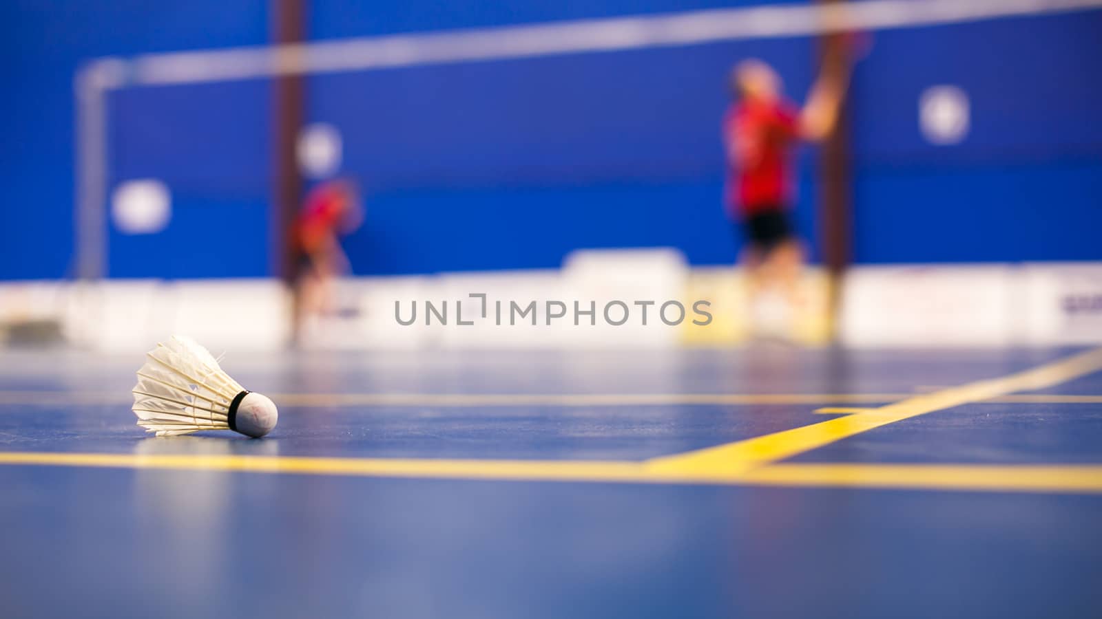 Badminton - badminton courts with two shuttlecocks (shallow DOF; color toned image)