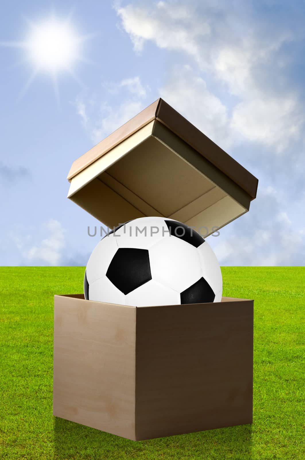 Soccer in the open box by pixbox77