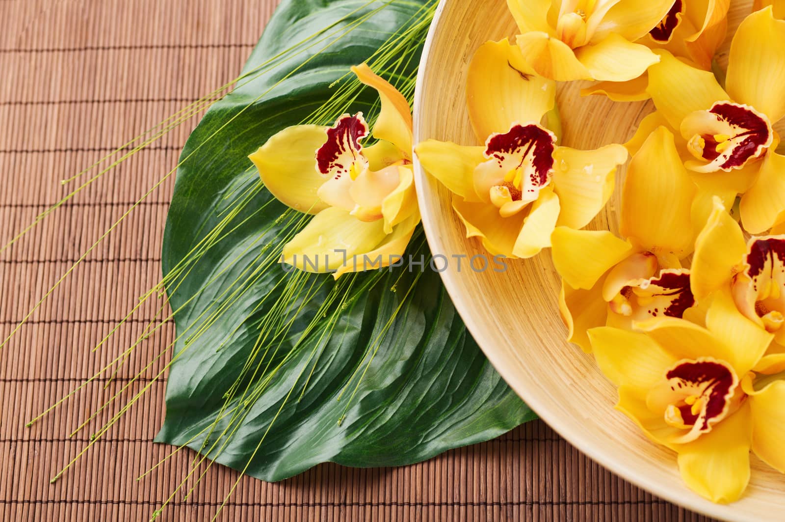 orchid flowers in bowl with green leaf on mat by dolgachov
